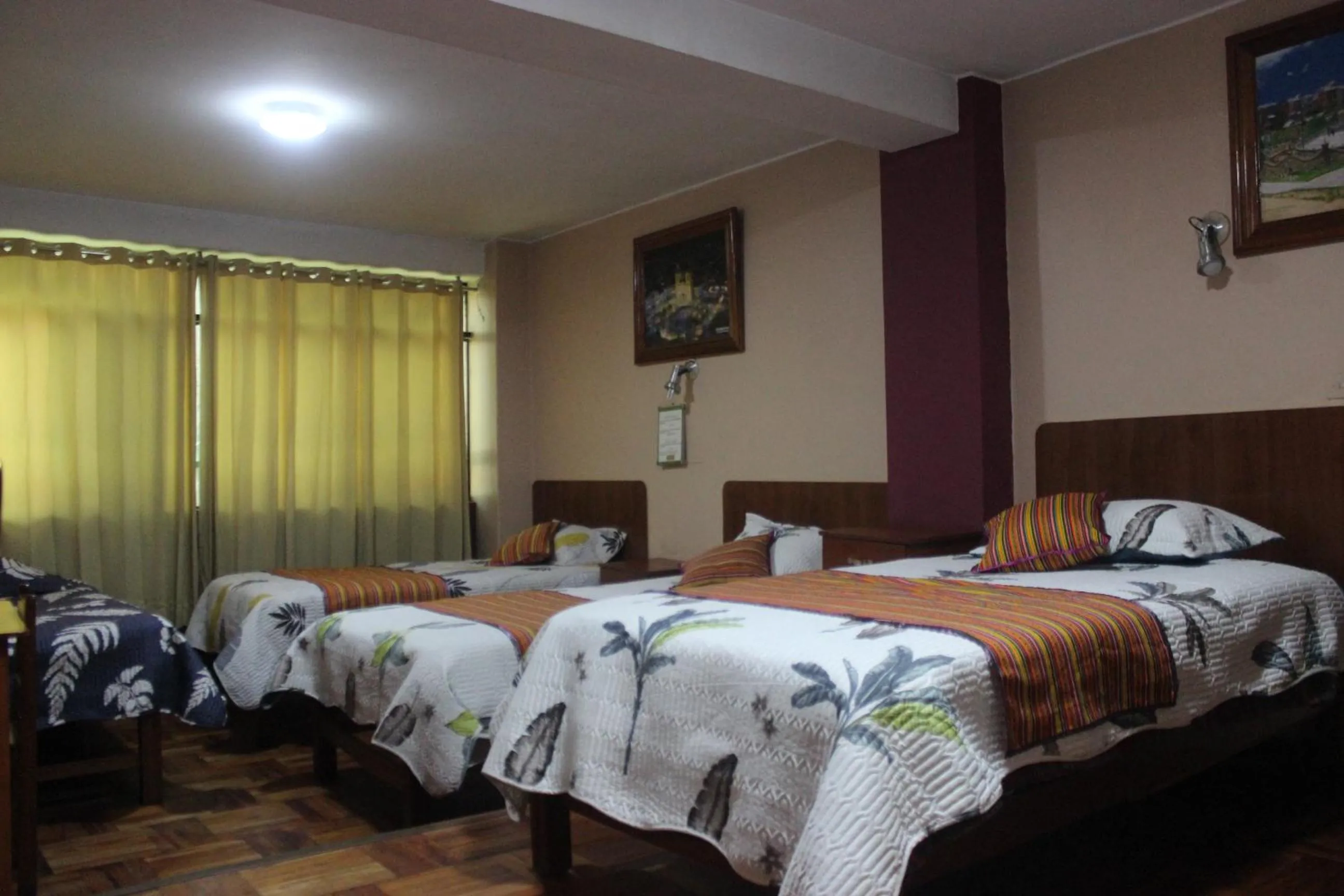 Bed in Hotel Las Lomas