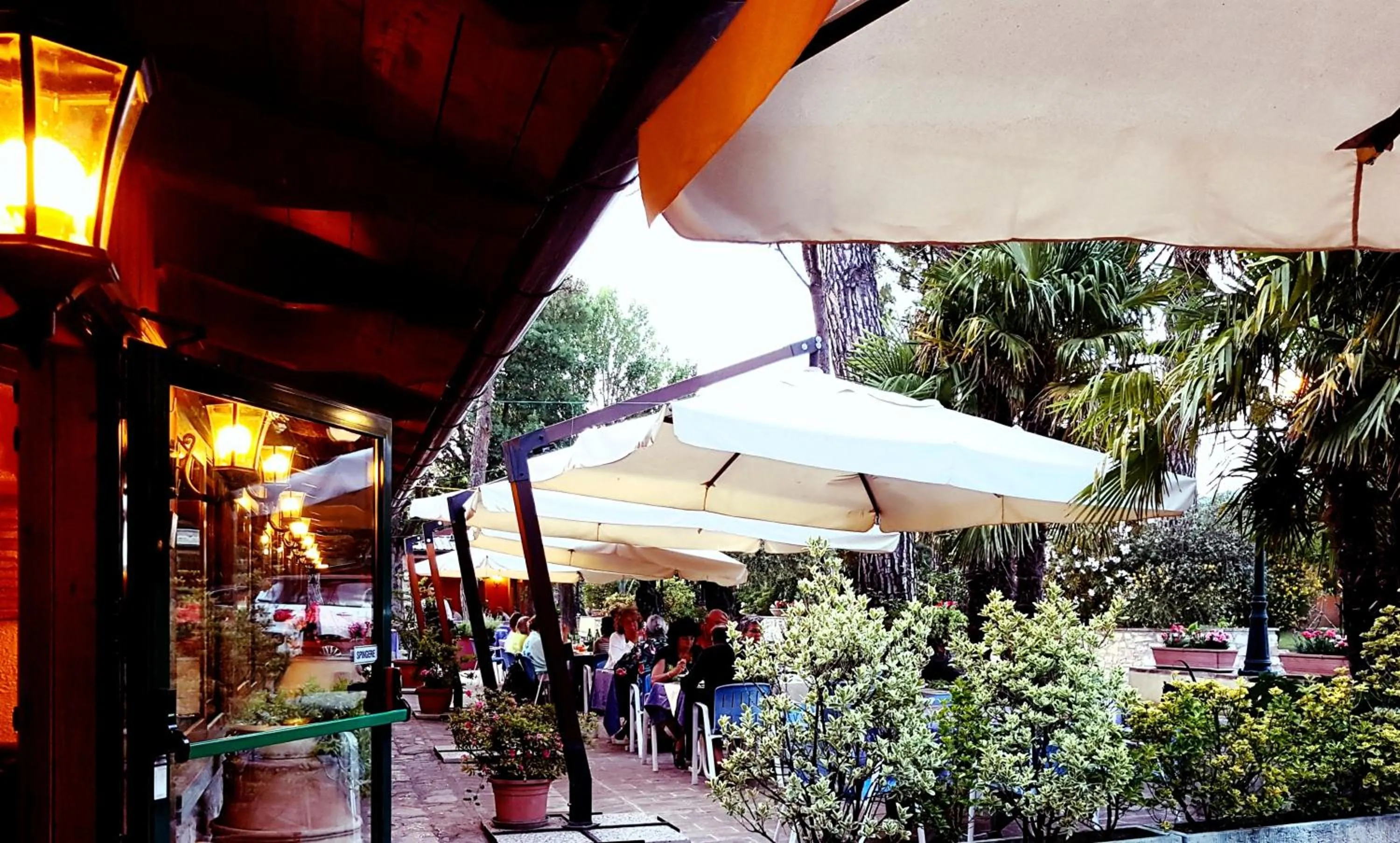 Garden in Hotel Villa Elda