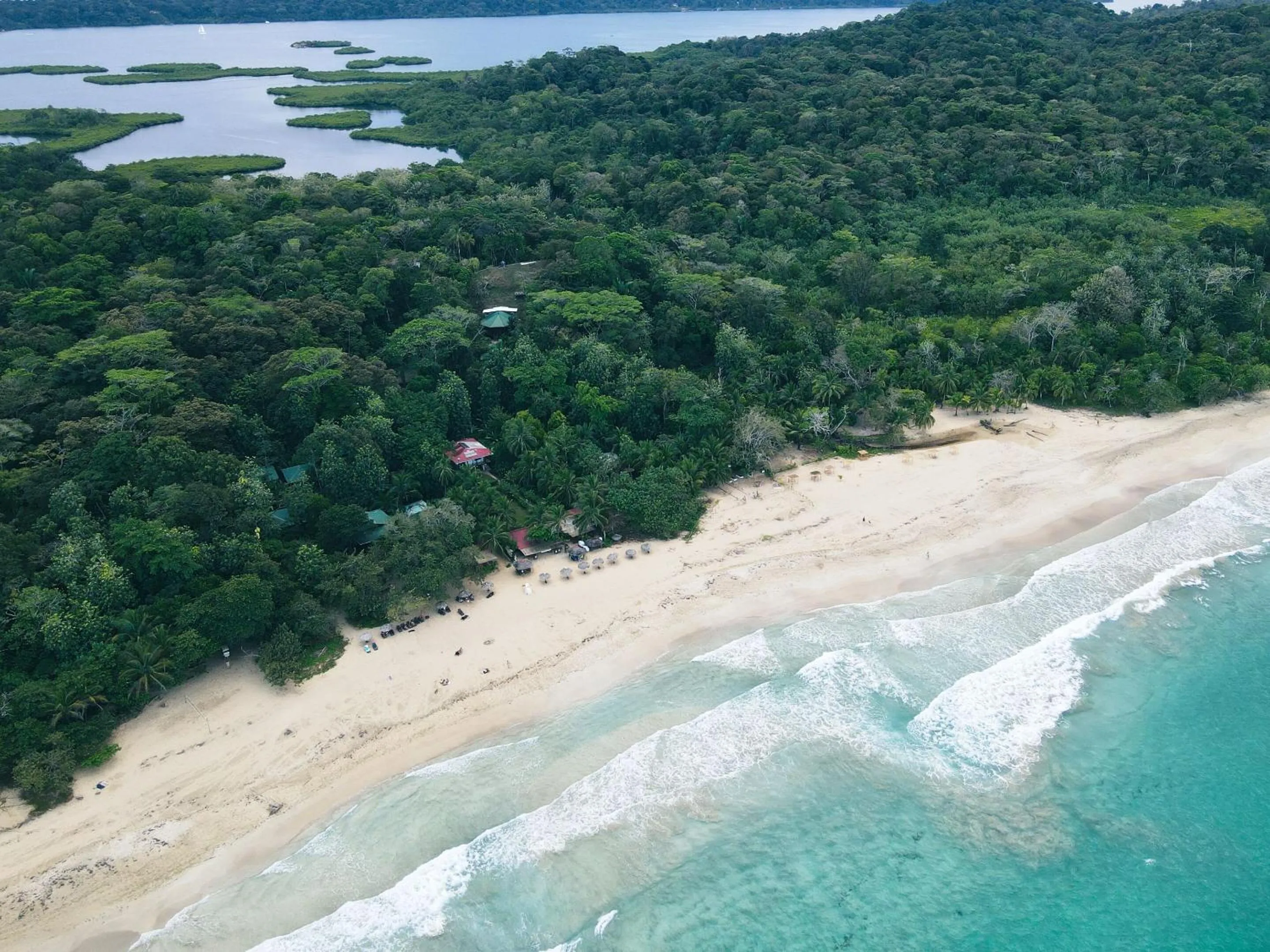 Bird's eye view in Selina Red Frog