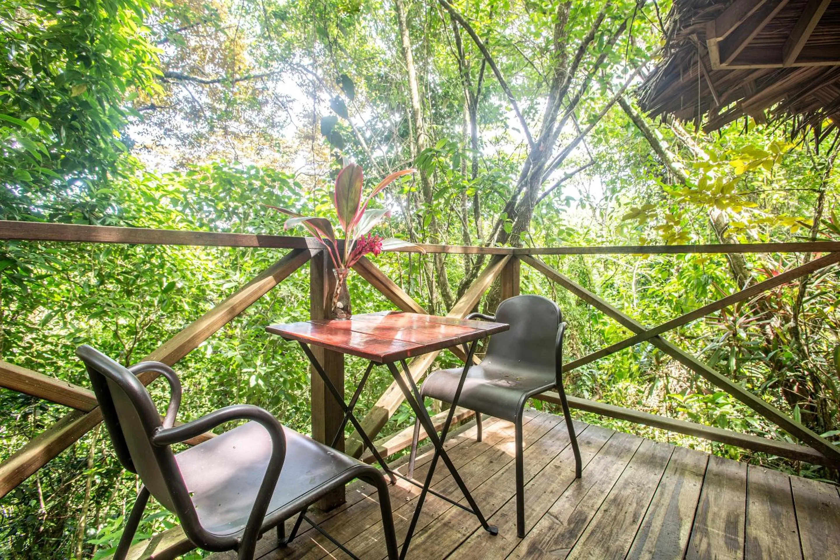 Mountain view in Selina Red Frog