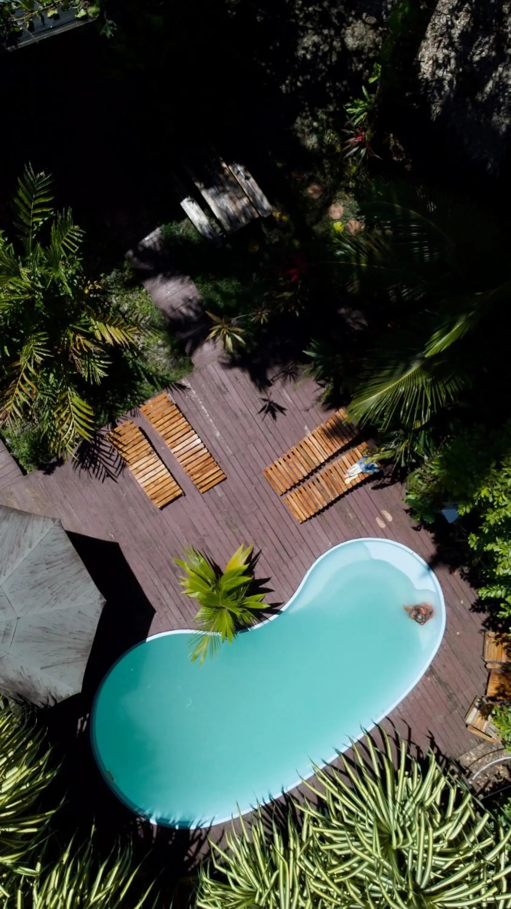 Property building in Selina Red Frog Property building in Selina Red Frog