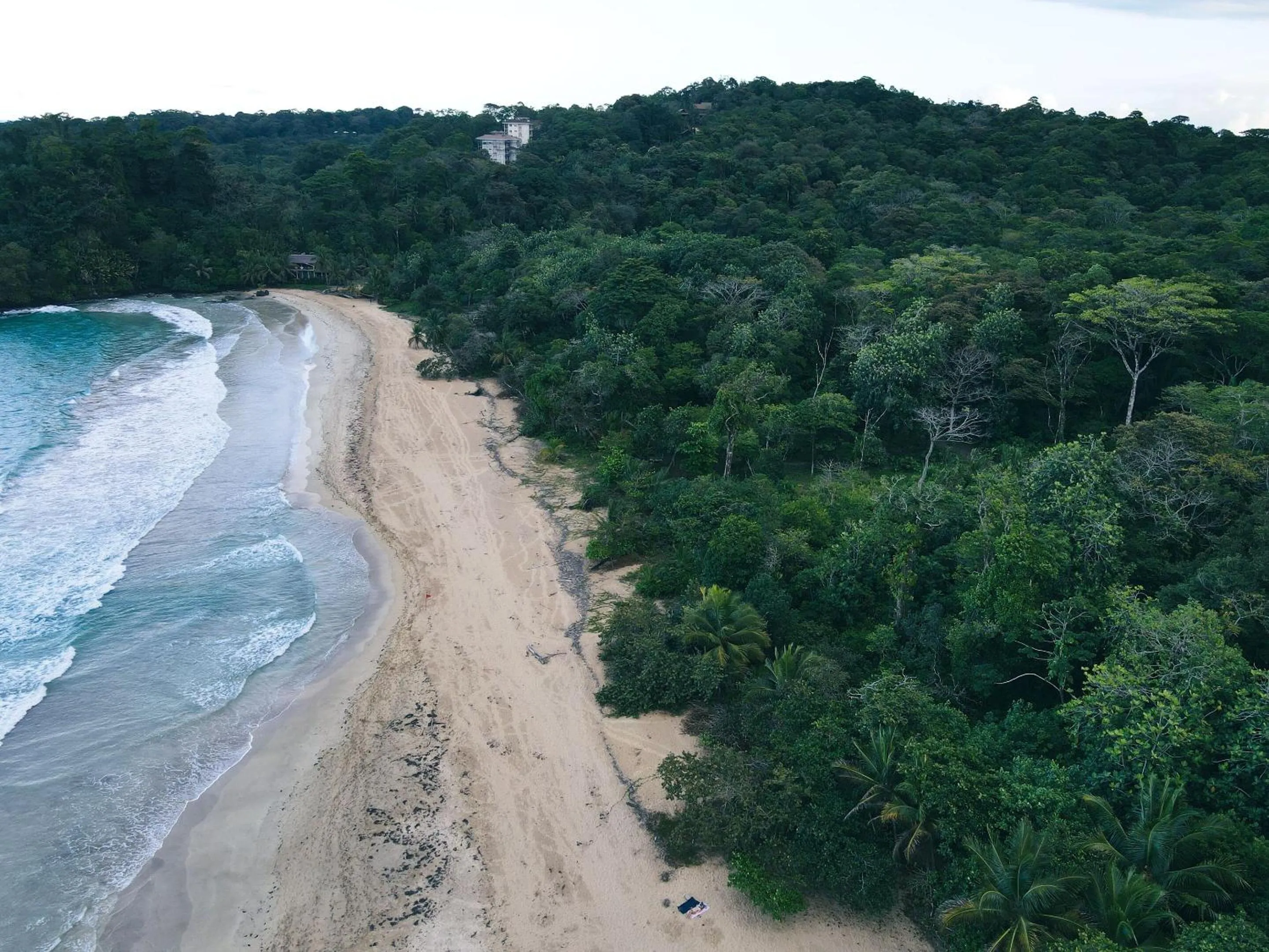 Beach in Selina Red Frog