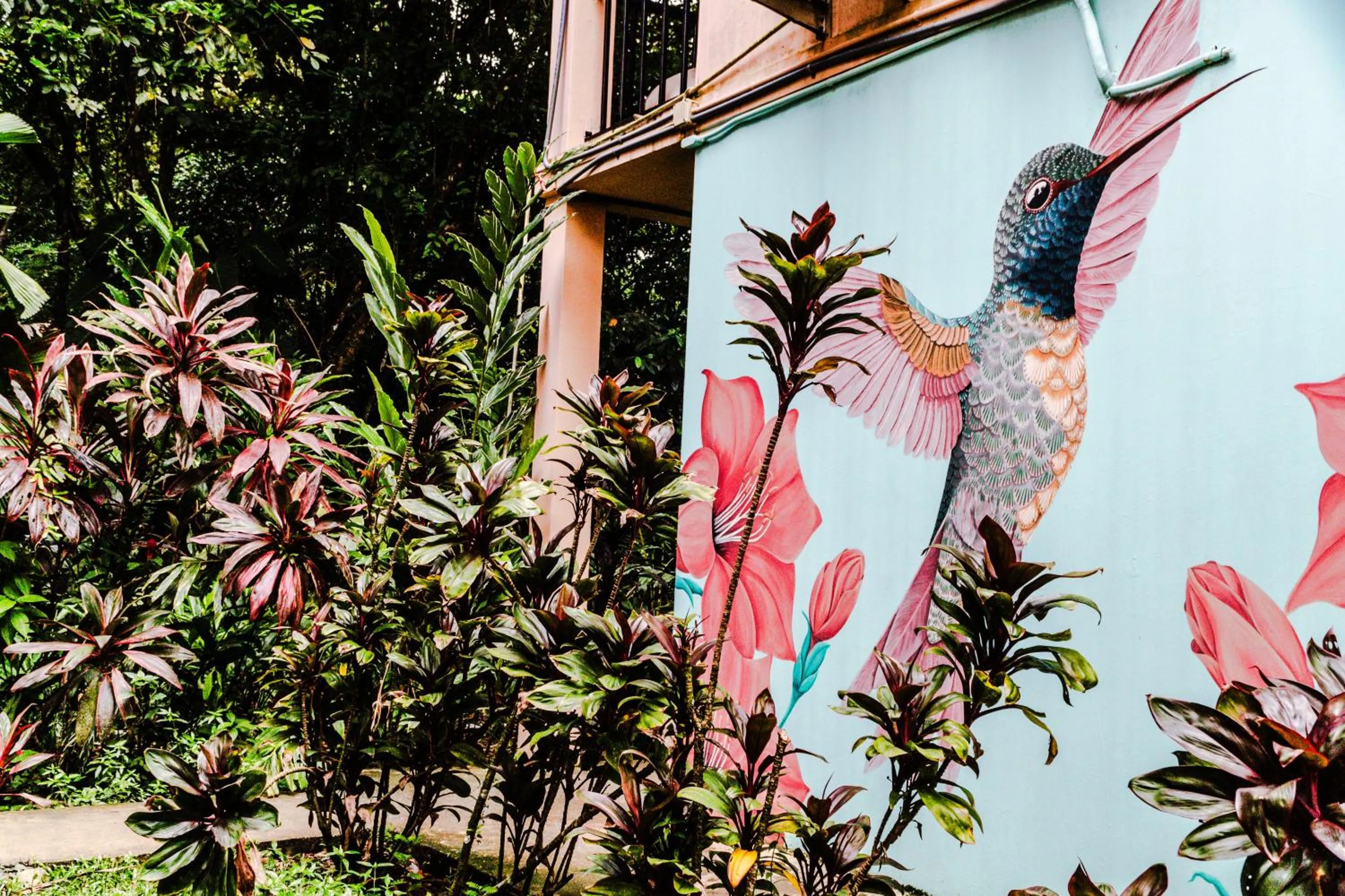 Property building in Selina Red Frog