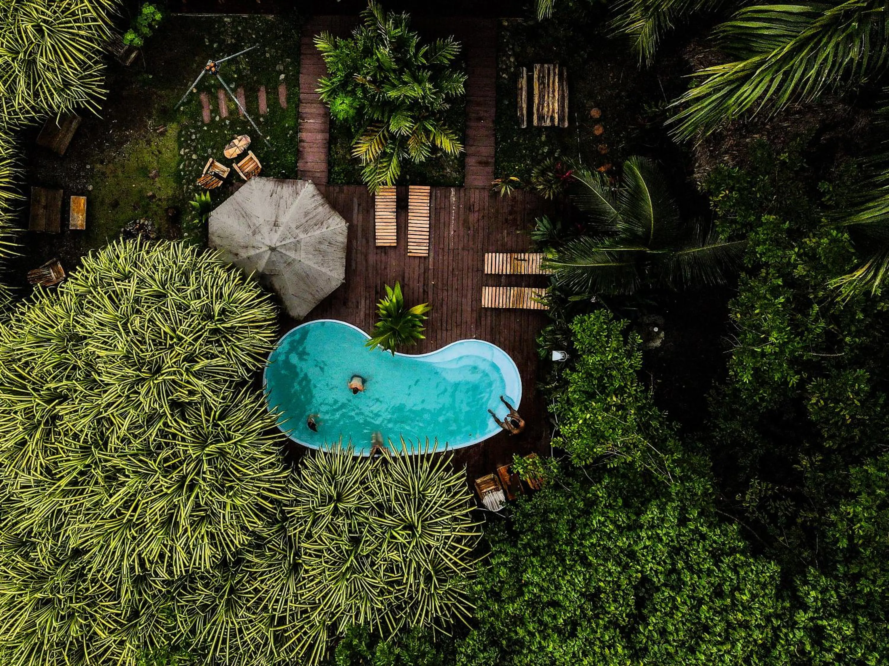 Natural landscape in Selina Red Frog