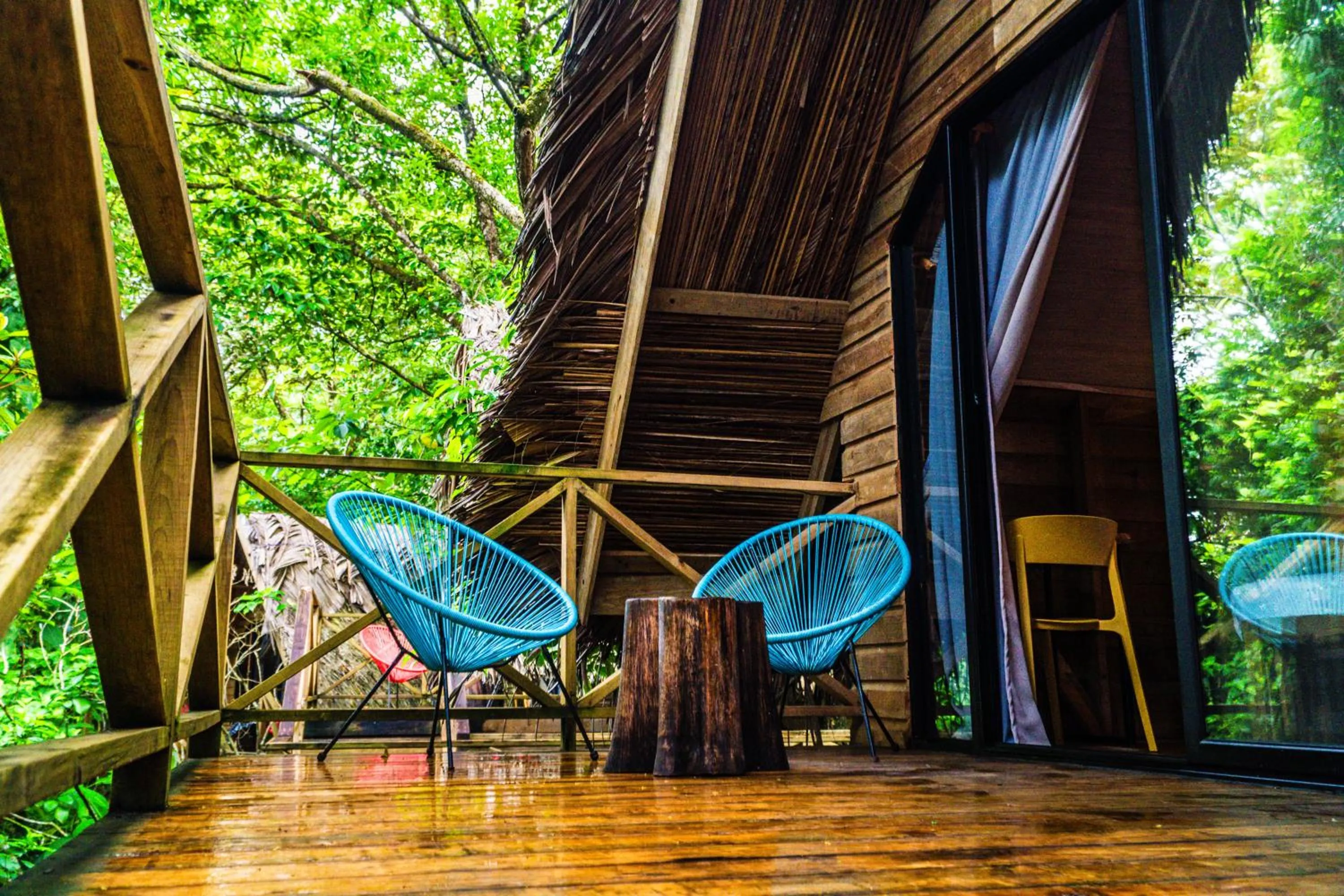 View (from property/room) in Selina Red Frog