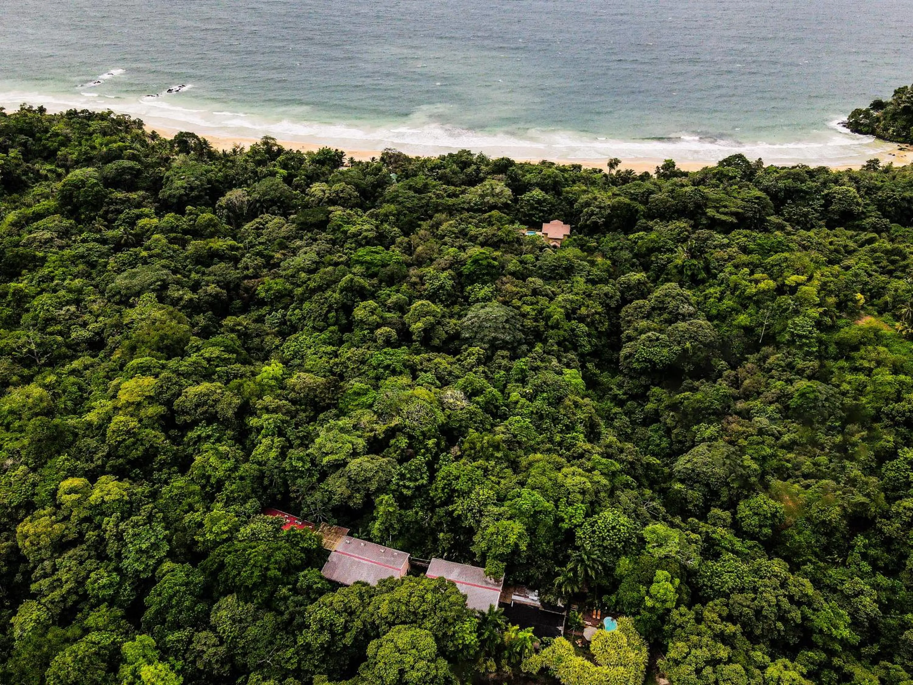 Natural landscape in Selina Red Frog