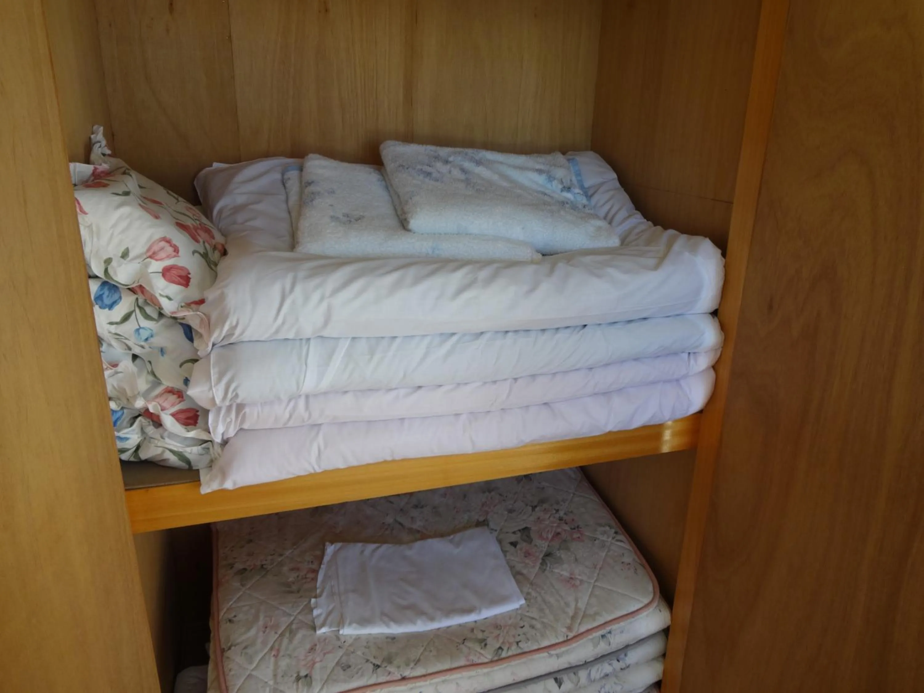Area and facilities, Bed in Pension Orange Box