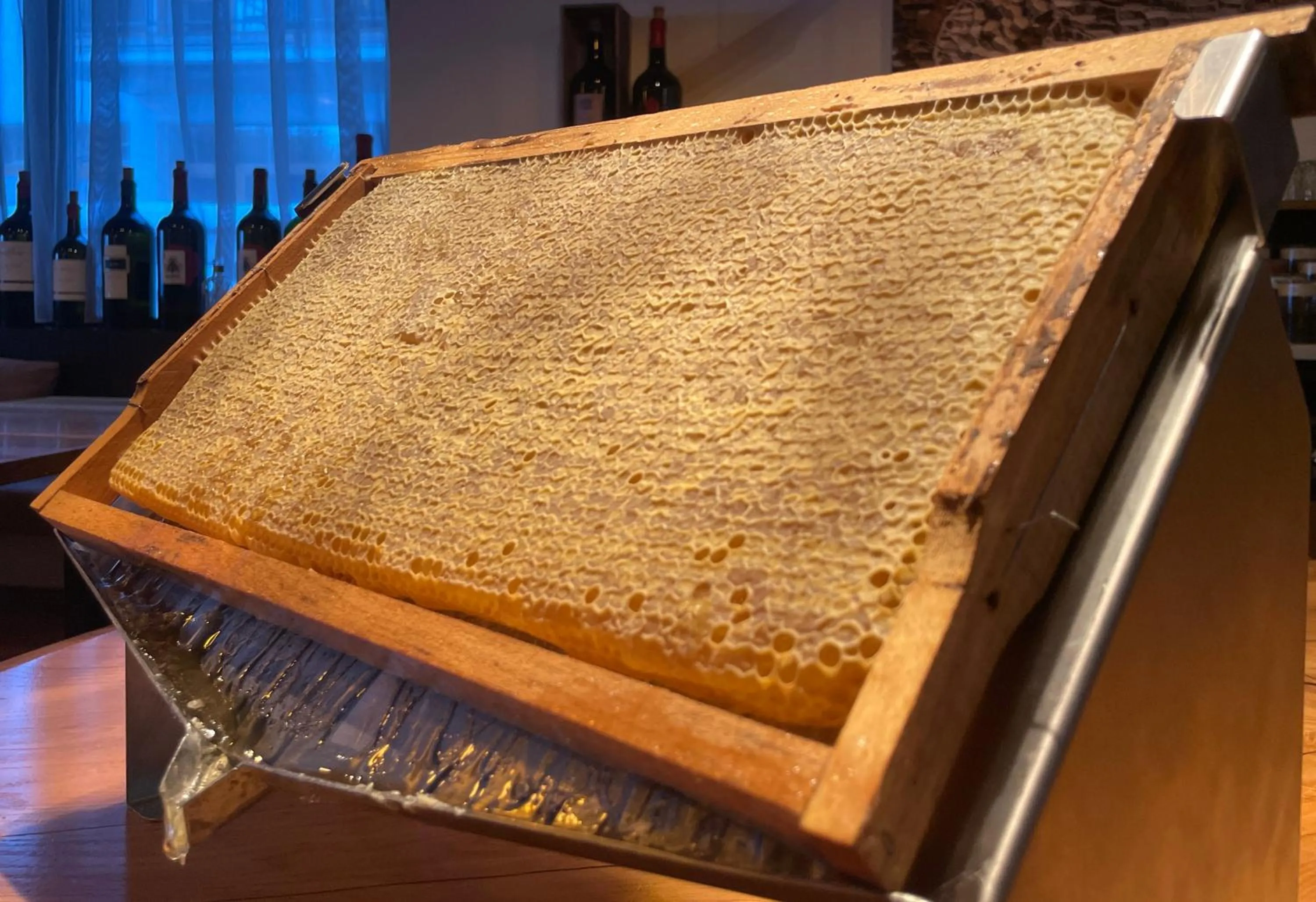 Buffet breakfast in Hotel Andino