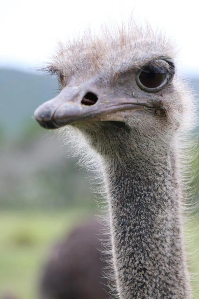 Hopewell Private Game Reserve