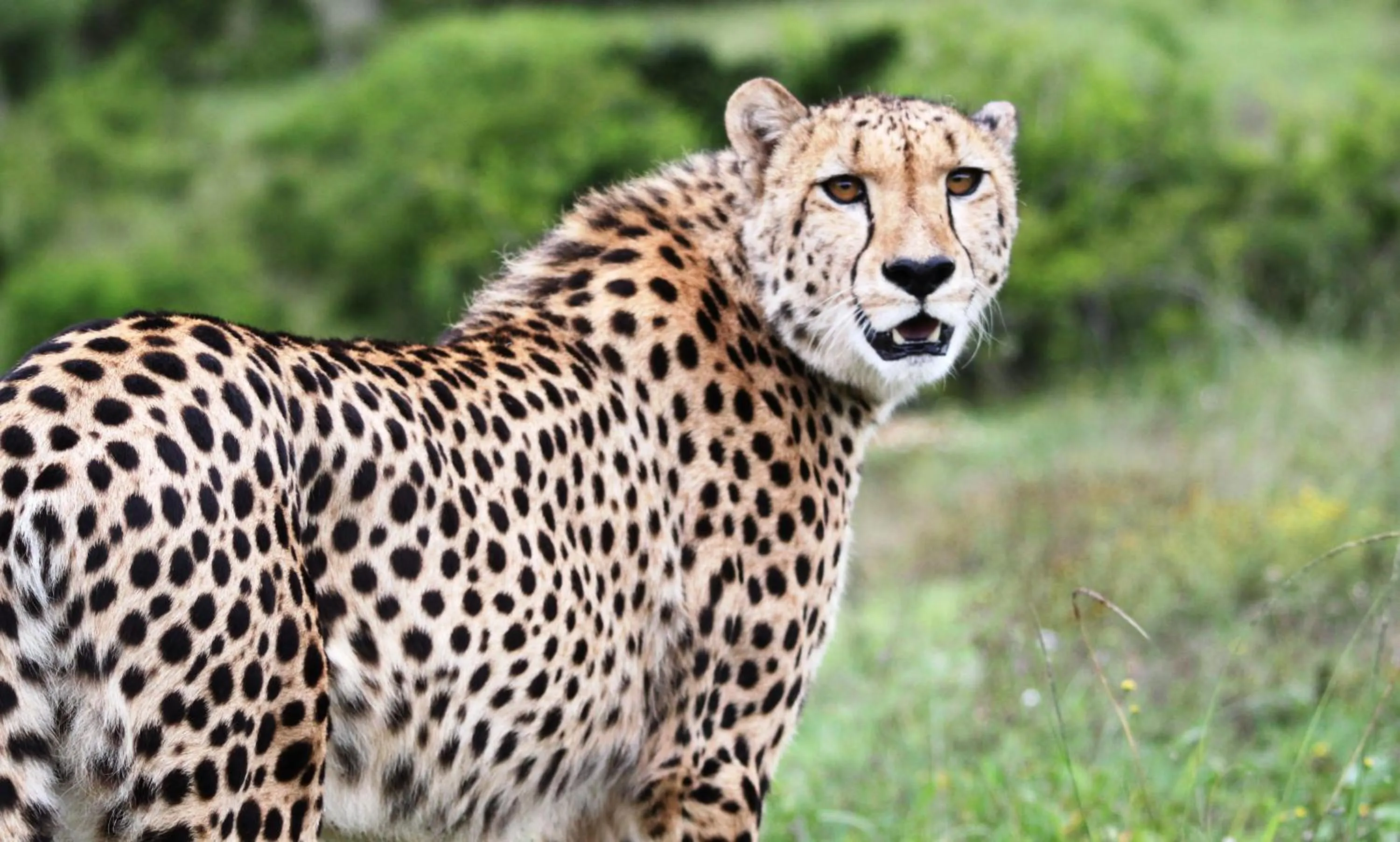 Hopewell Private Game Reserve