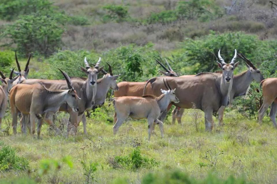 Hopewell Private Game Reserve