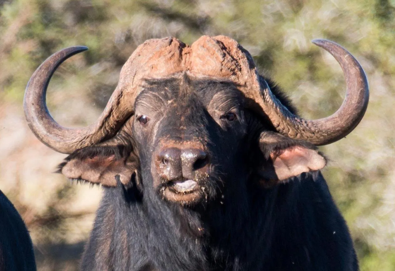 Hopewell Private Game Reserve