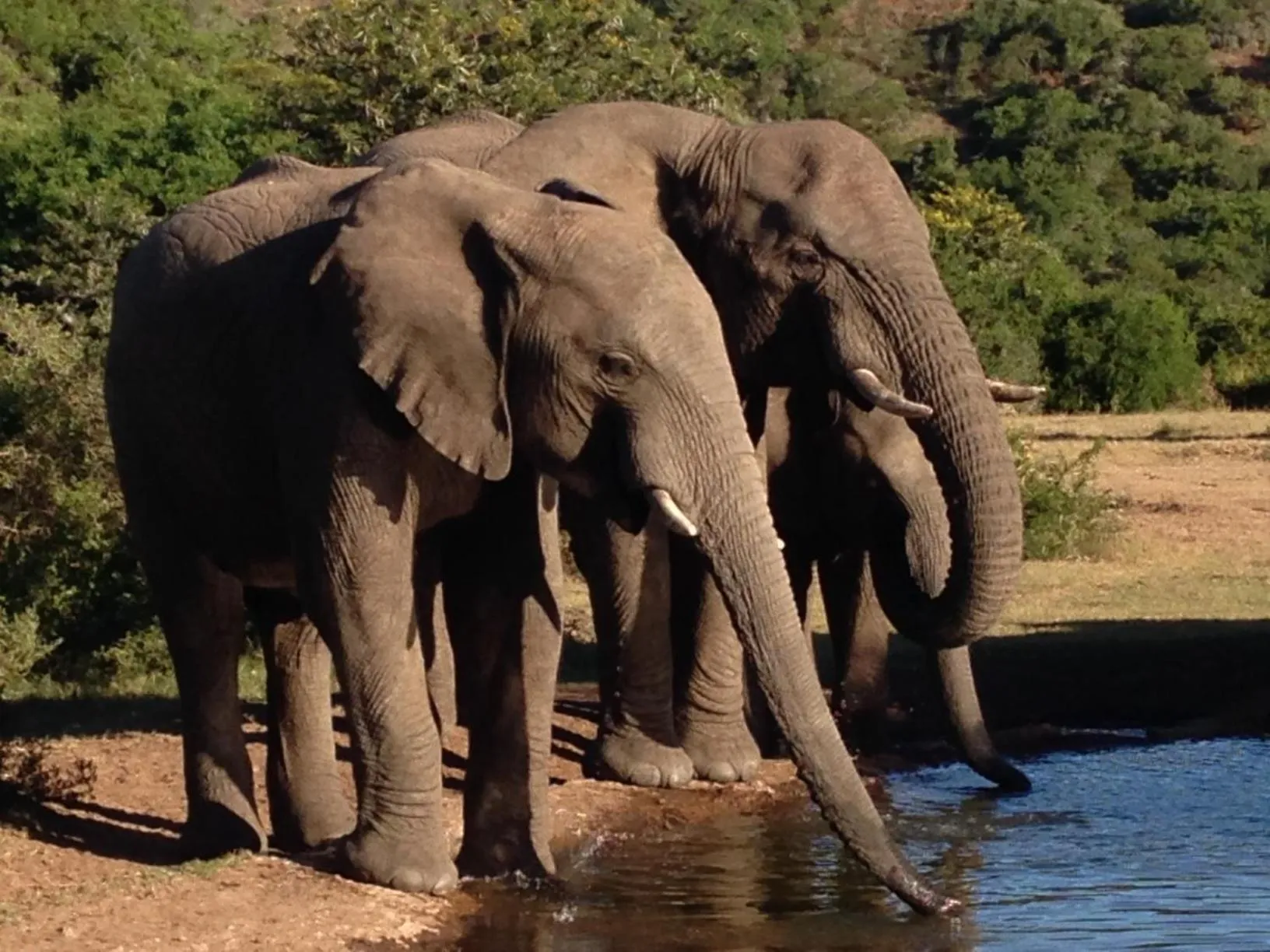 Hopewell Private Game Reserve