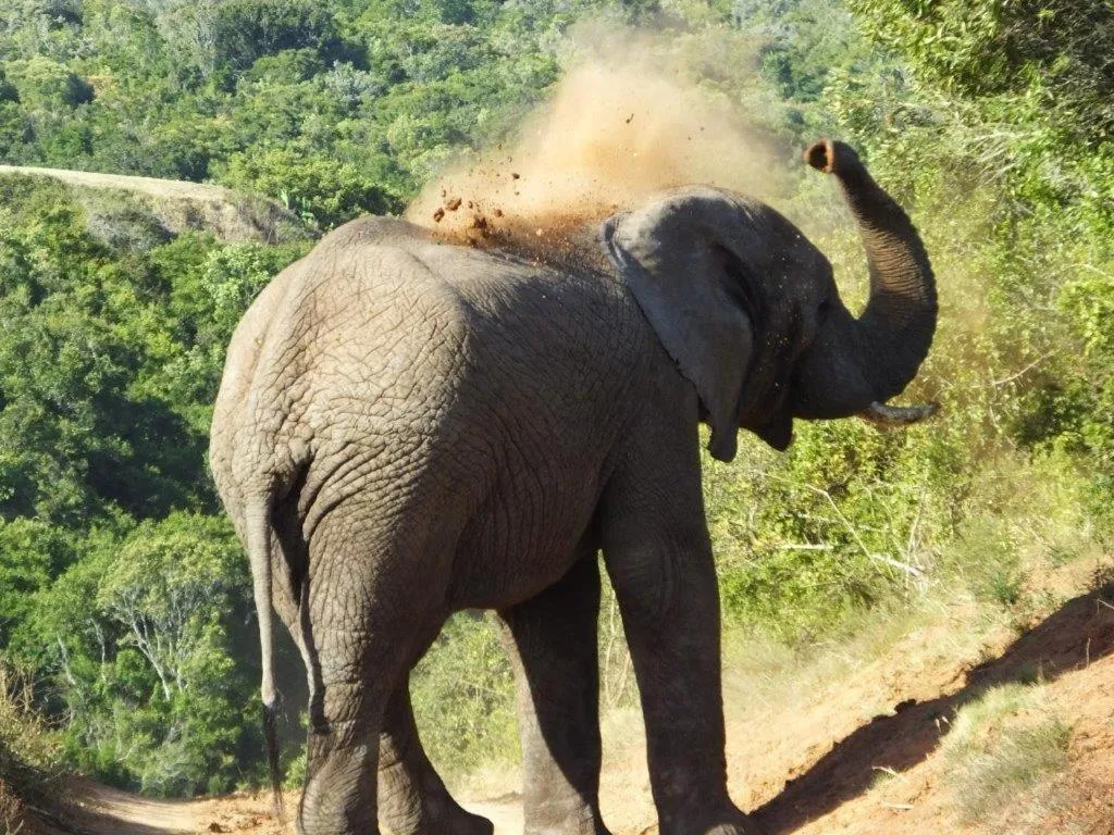 Hopewell Private Game Reserve