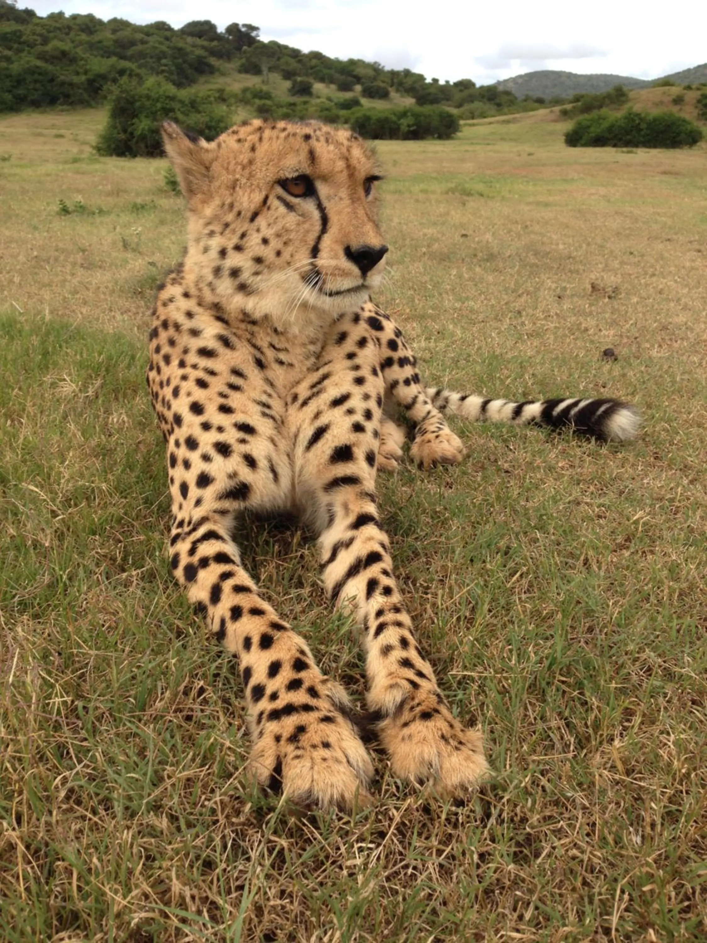 Hopewell Private Game Reserve