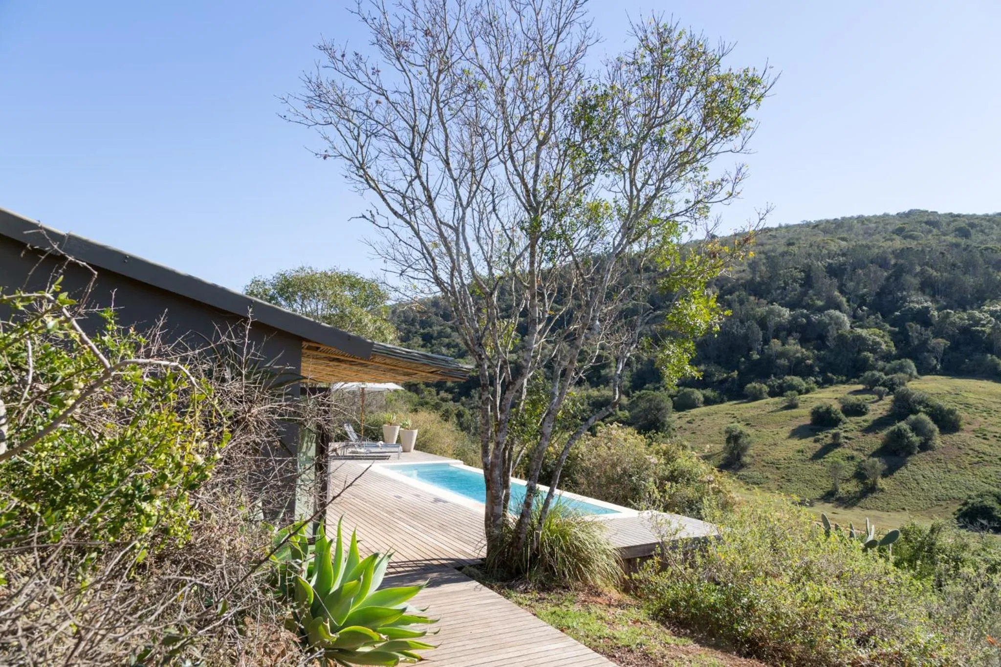 Pool view in Hopewell Private Game Reserve