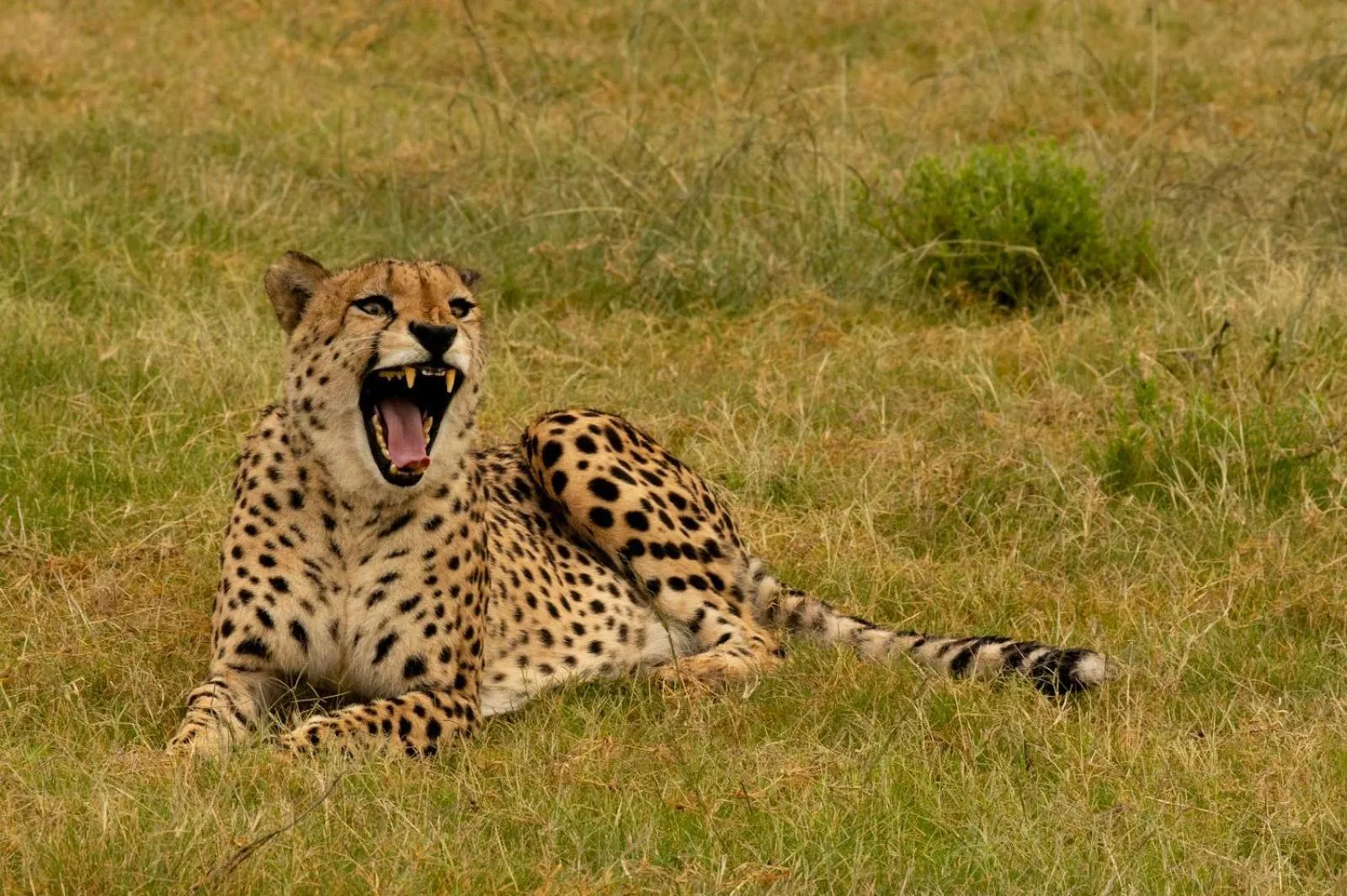 Hopewell Private Game Reserve