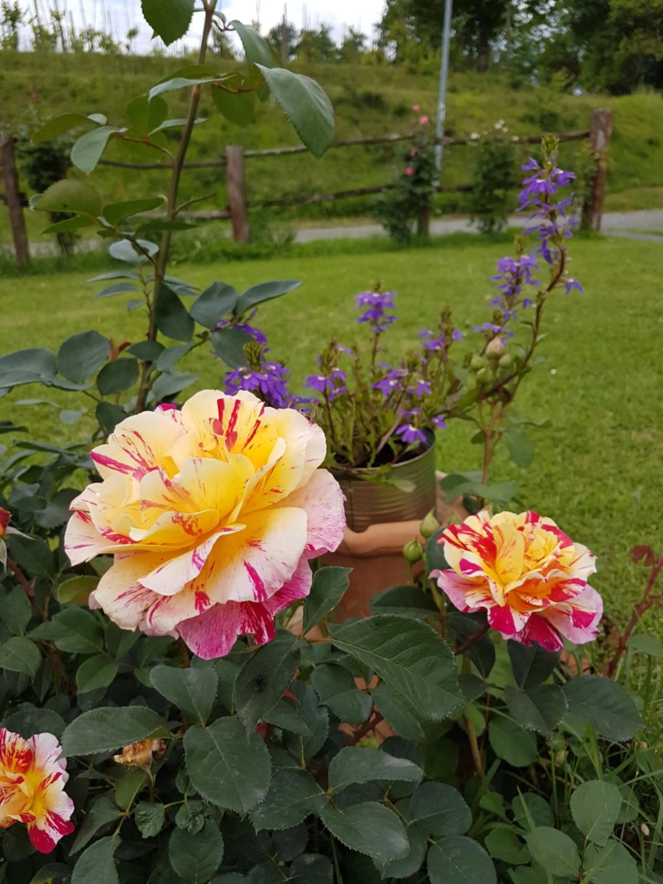 Agriturismo La Selva