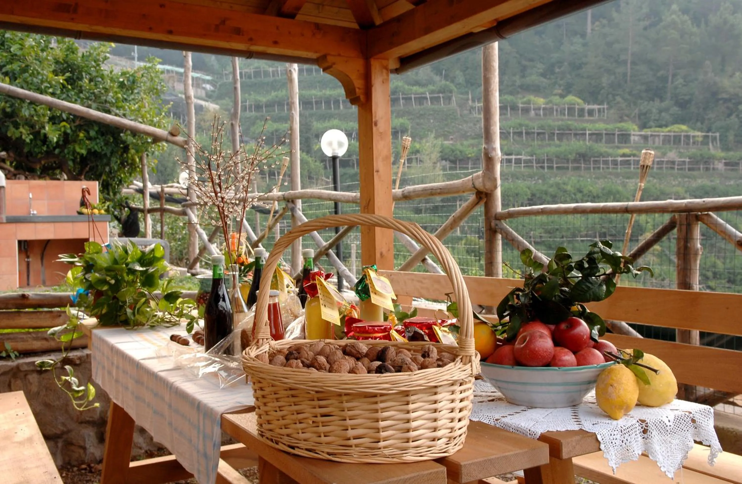 Natural landscape in Casa Ortensia