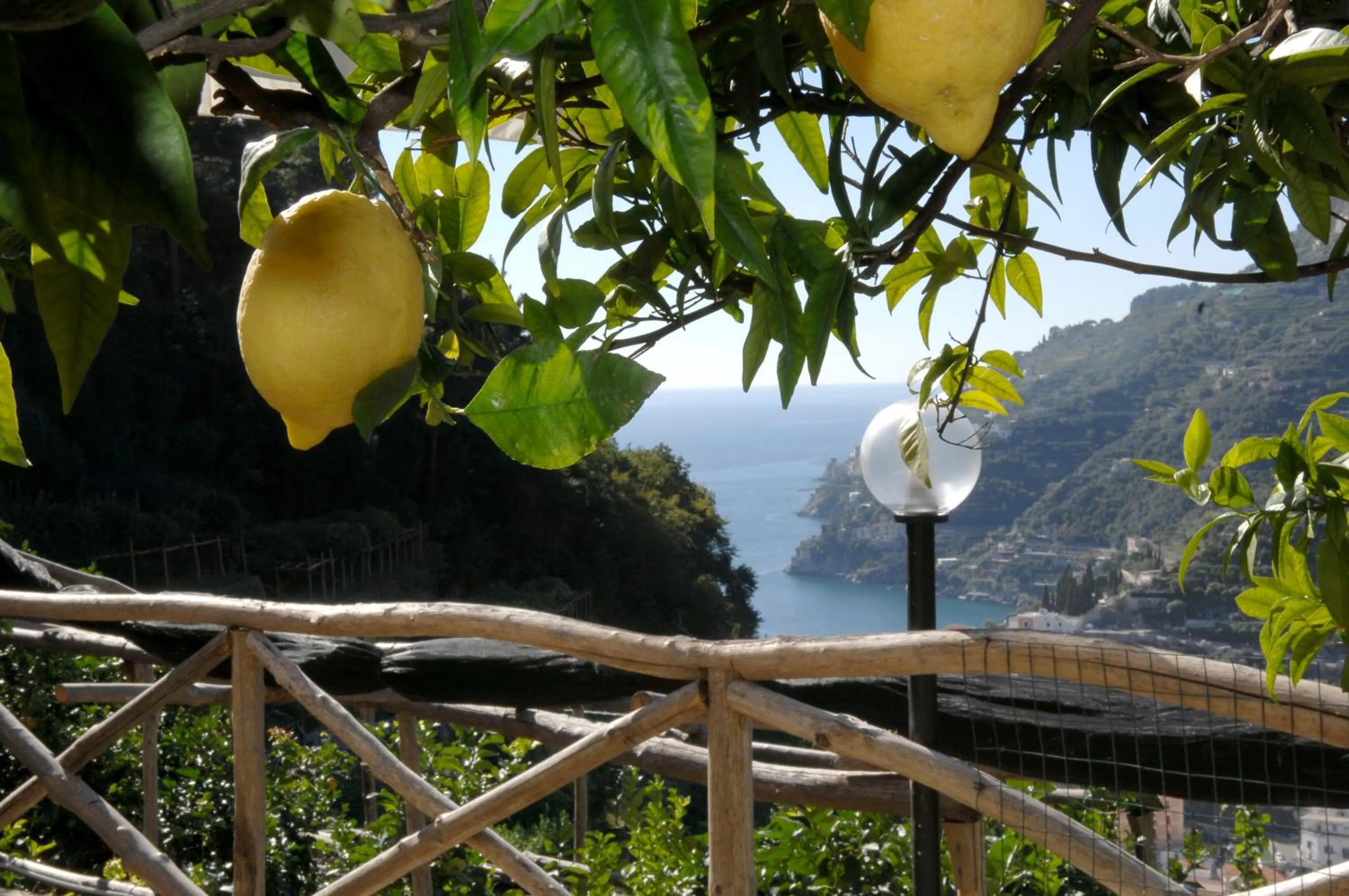 Natural landscape in Casa Ortensia