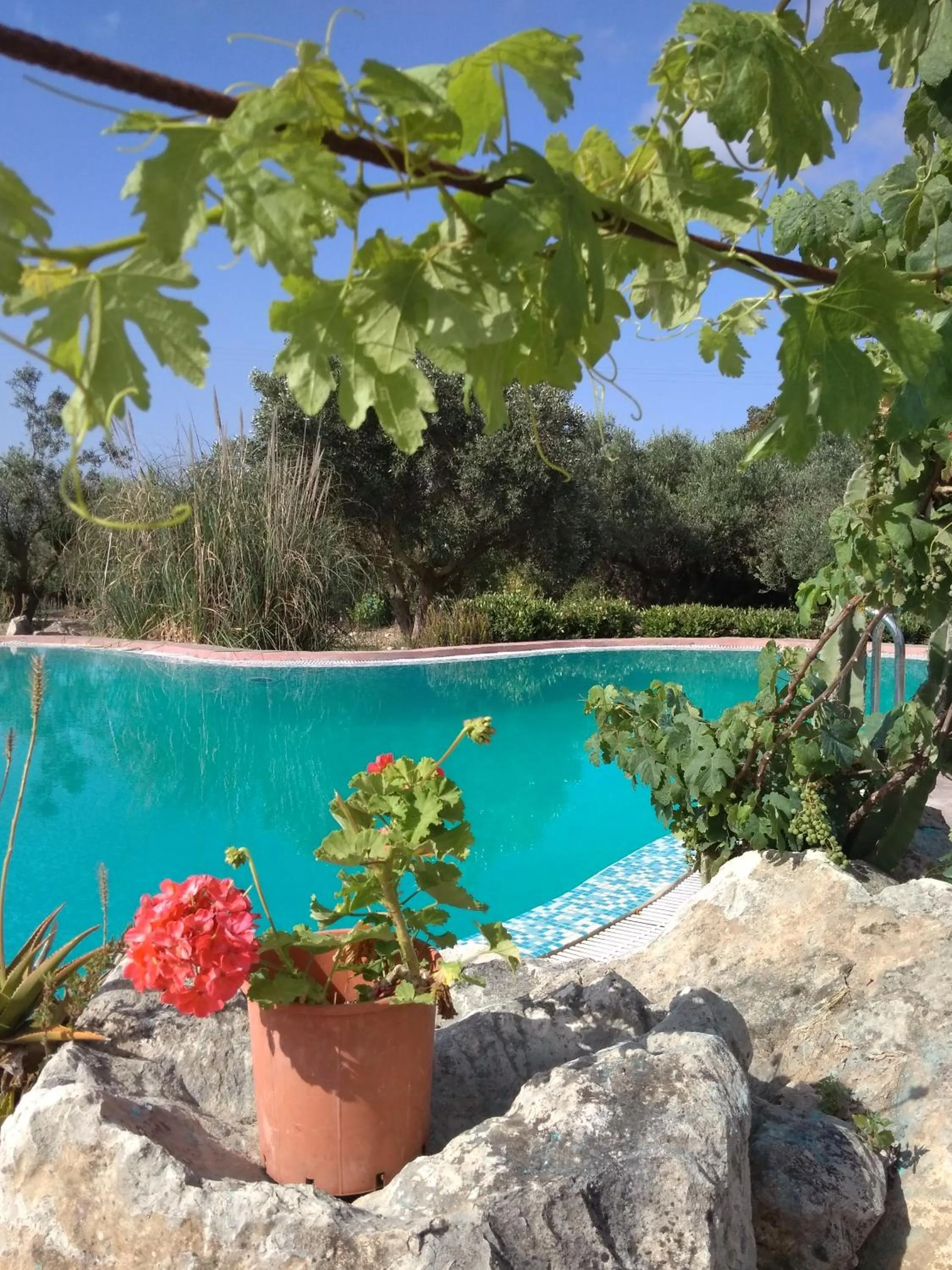 Swimming pool in Volidiera Guesthouse