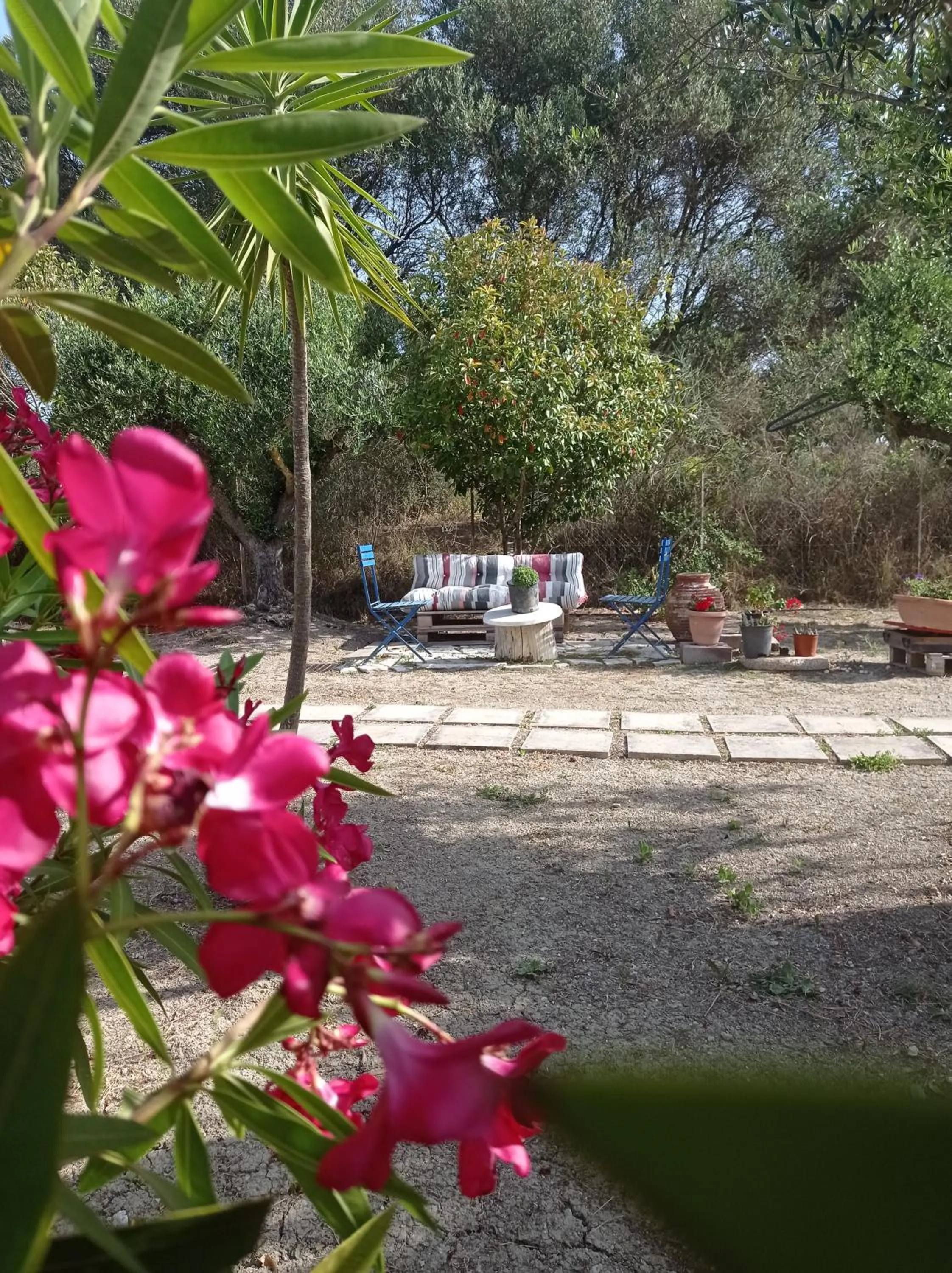 Garden in Volidiera Guesthouse