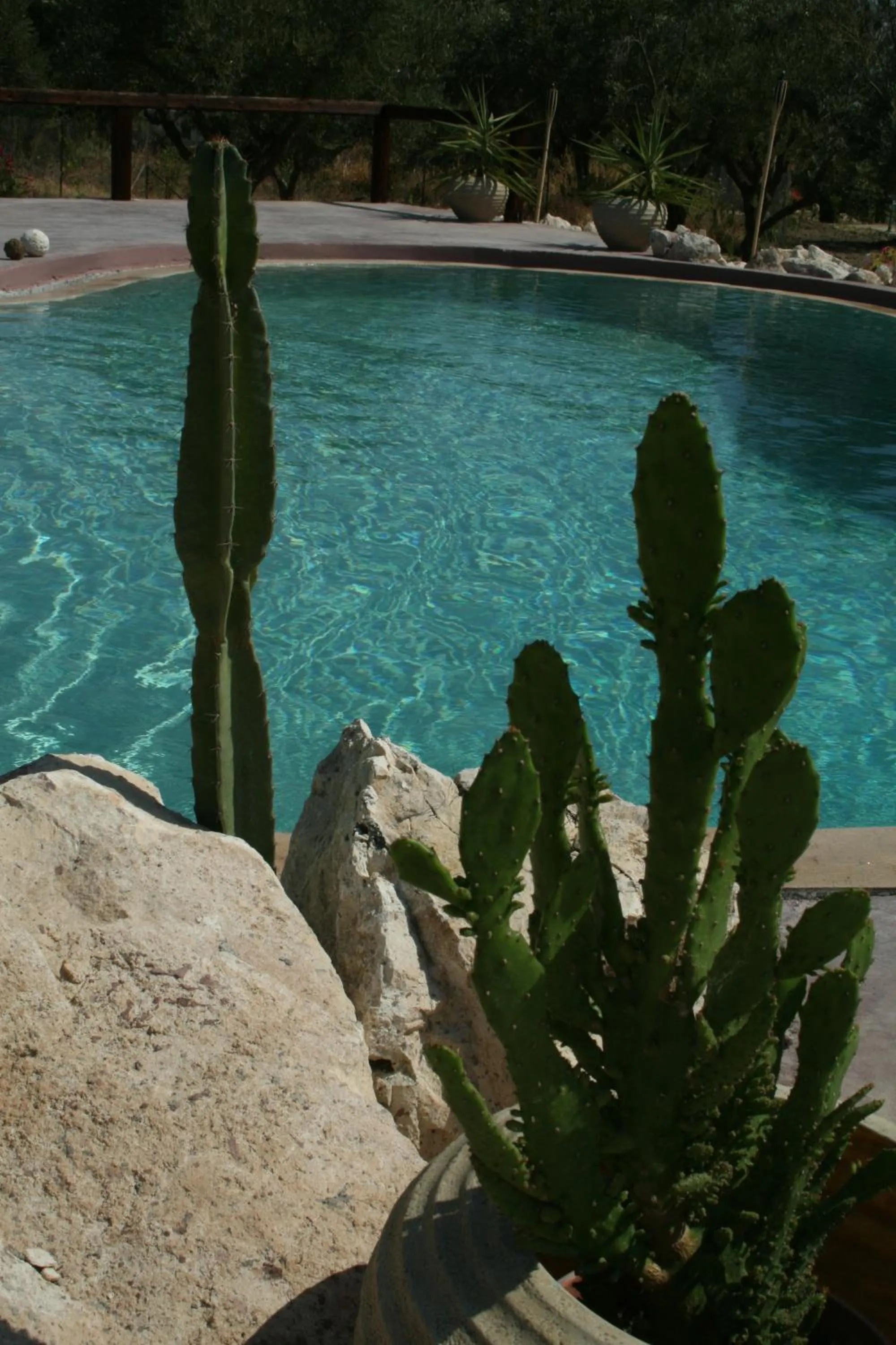 Swimming pool in Volidiera Guesthouse