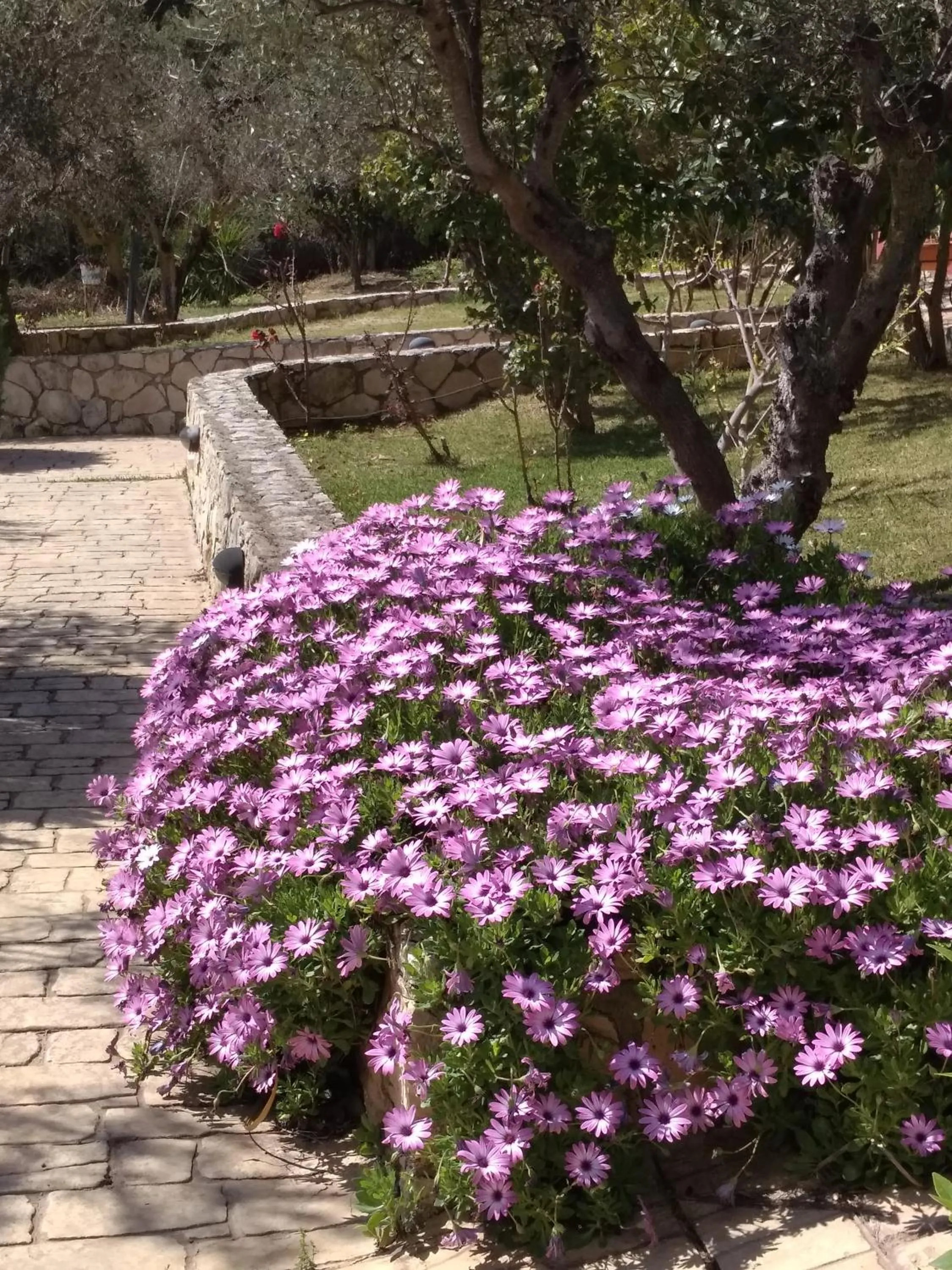 Garden in Volidiera Guesthouse