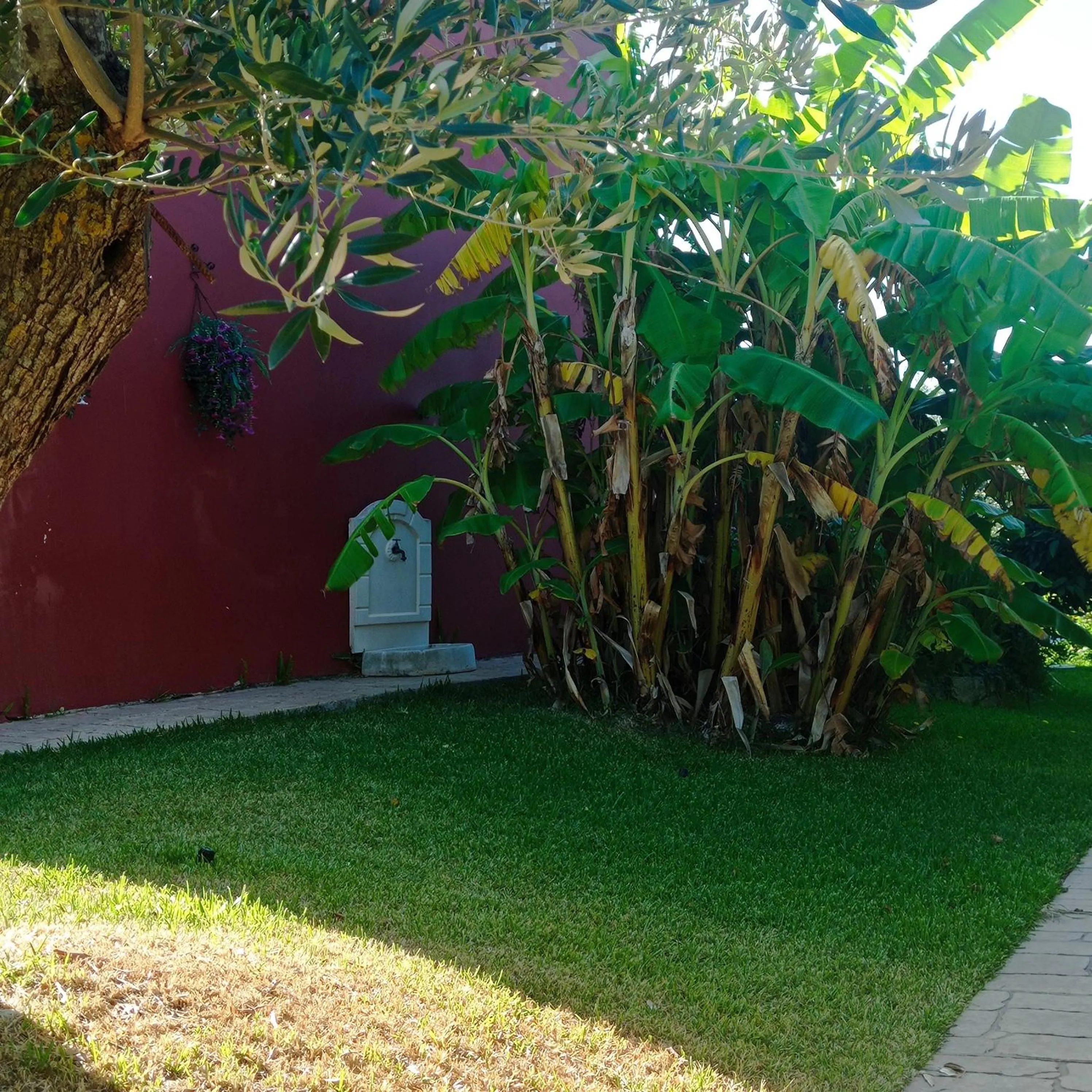 Garden in Volidiera Guesthouse