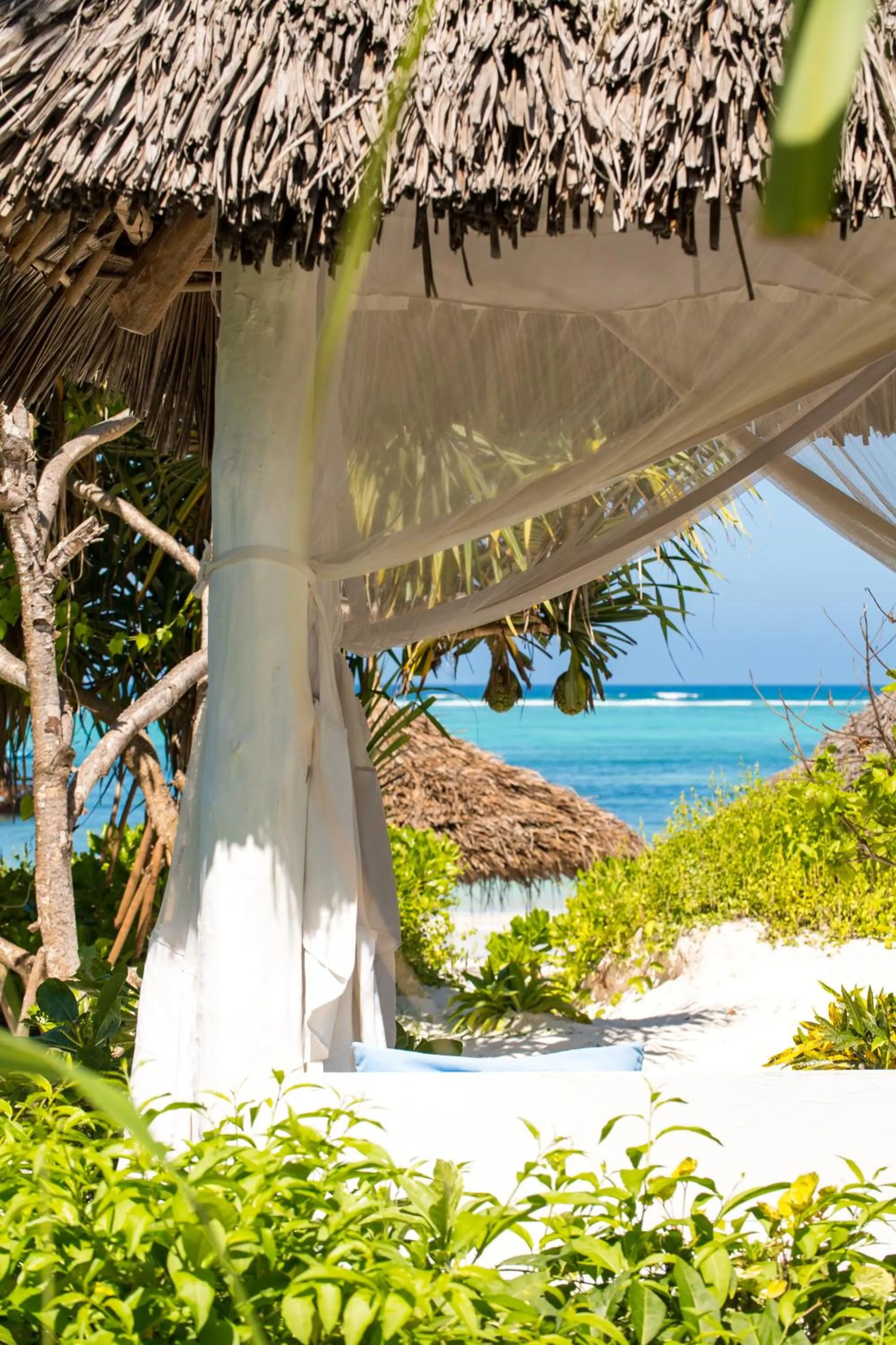 Garden in Zanzibar Queen Hotel