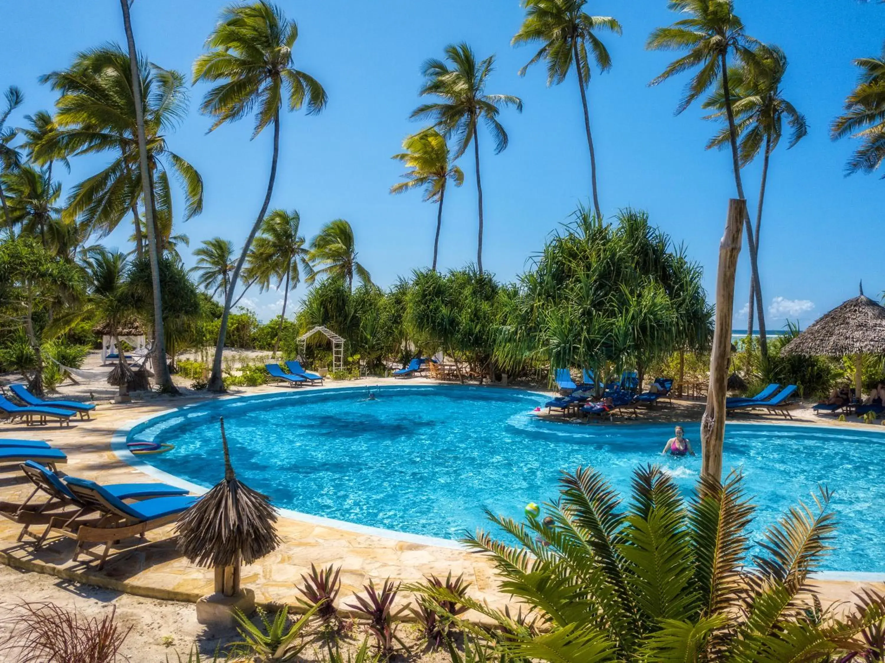 Swimming pool in Zanzibar Queen Hotel Swimming pool in Zanzibar Queen Hotel