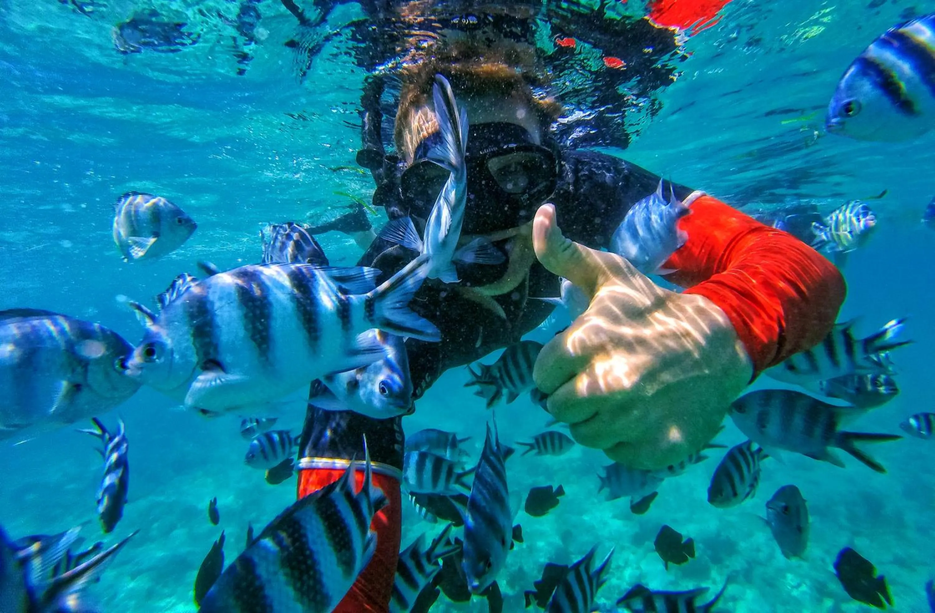 Snorkeling in Zanzibar Queen Hotel