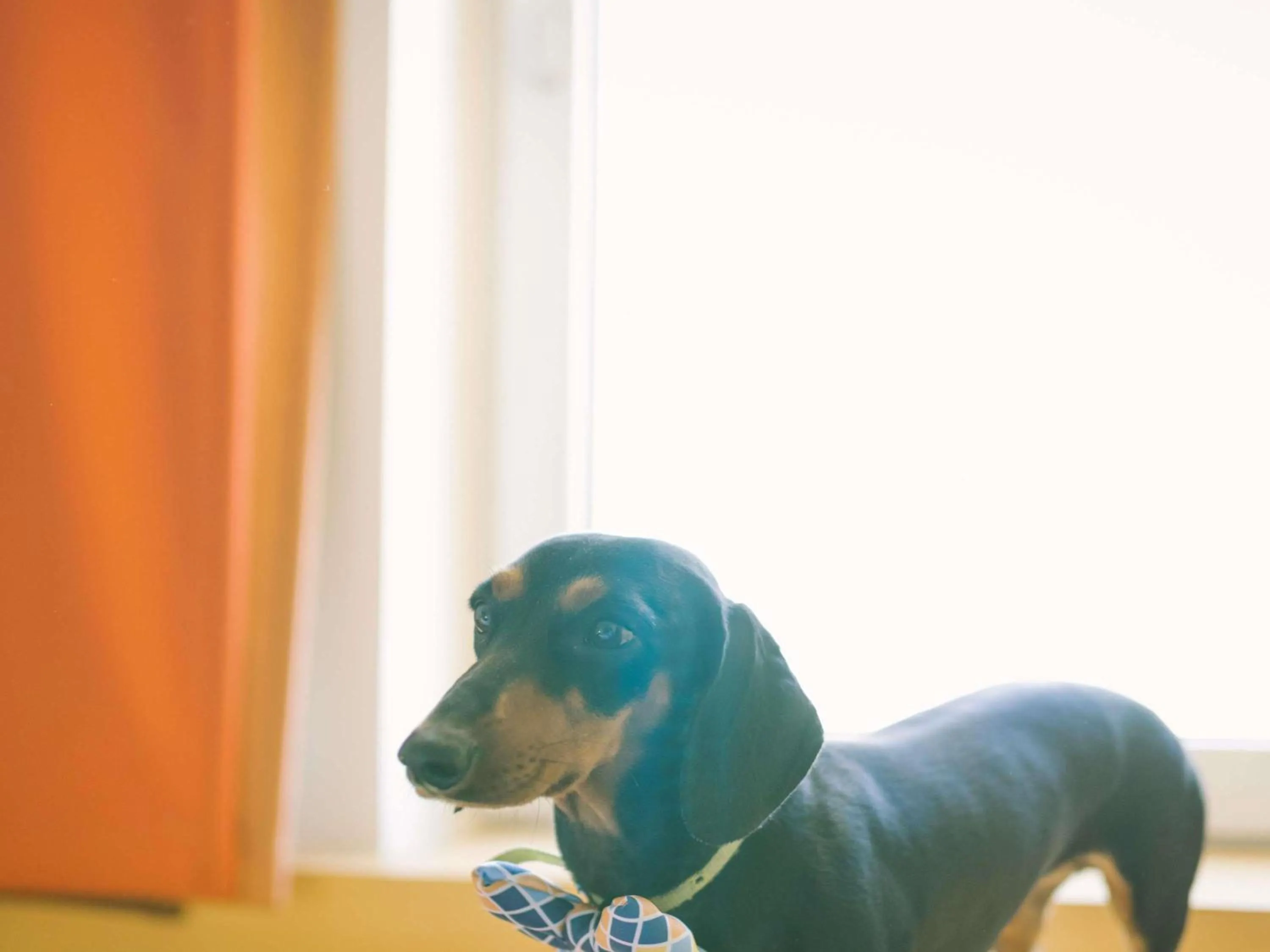 Other in ibis Hotel Brussels Airport