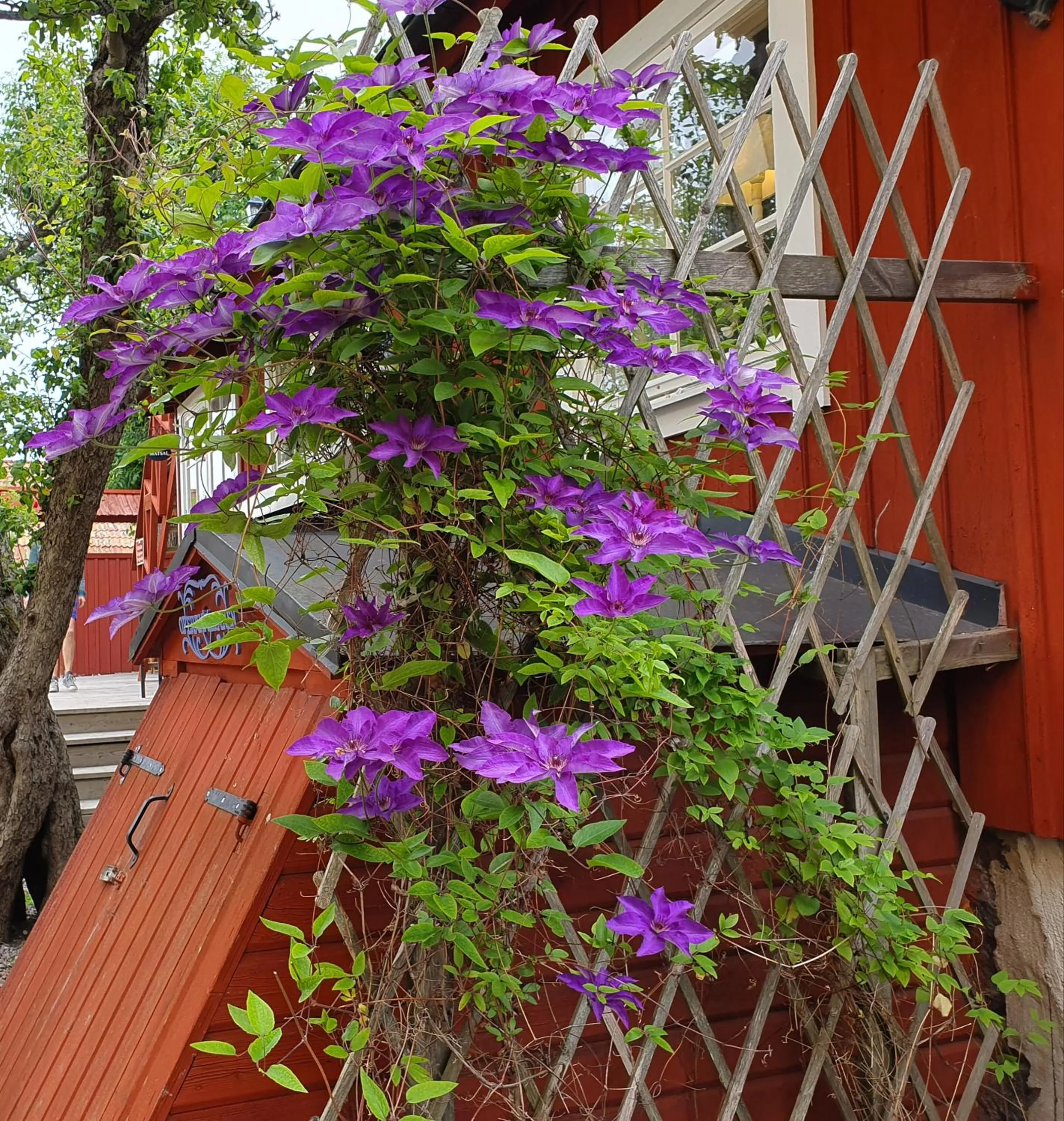 Garden in Gårdshotell Klockargården Öregrund