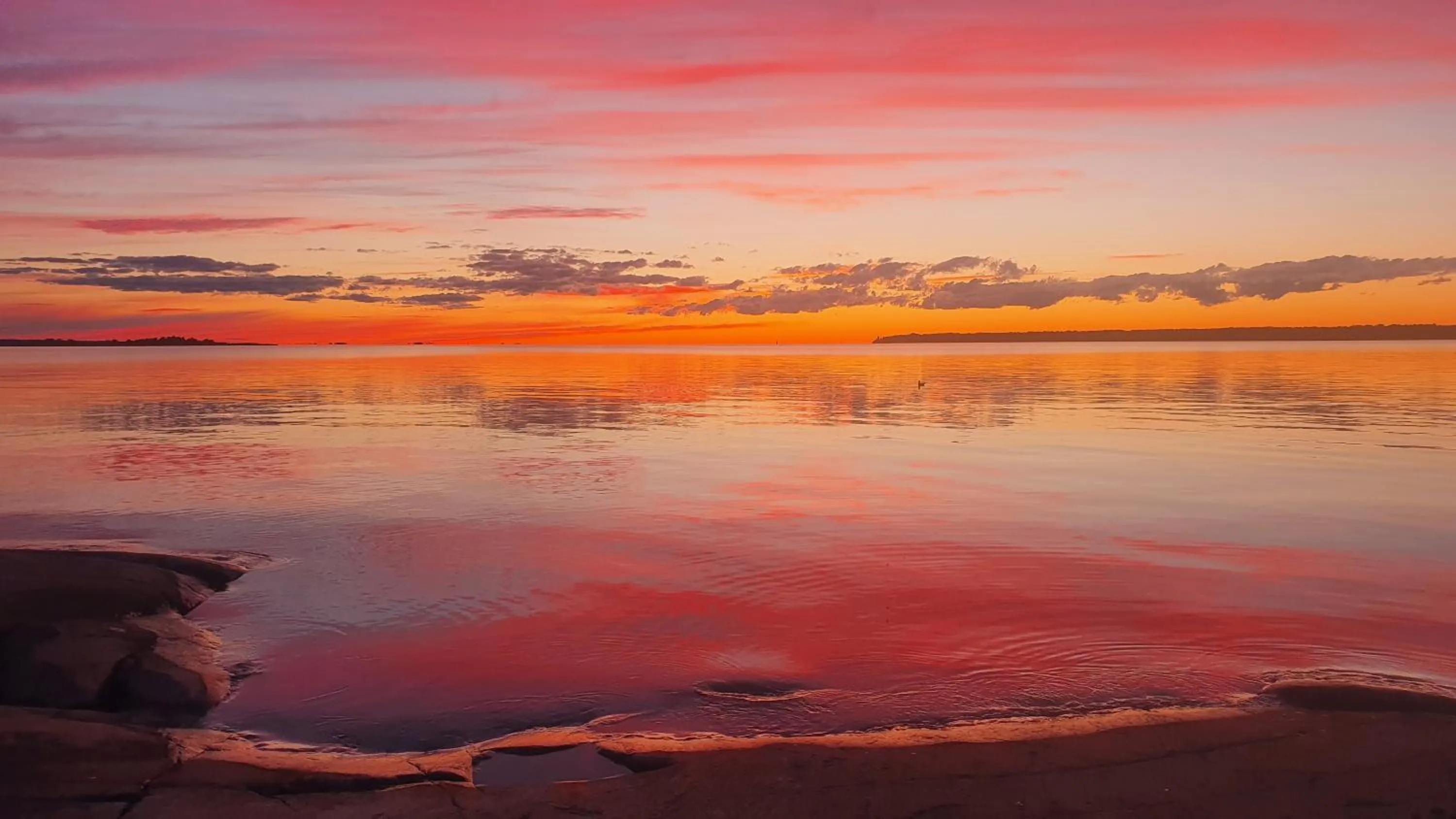 Spring in Gårdshotell Klockargården Öregrund