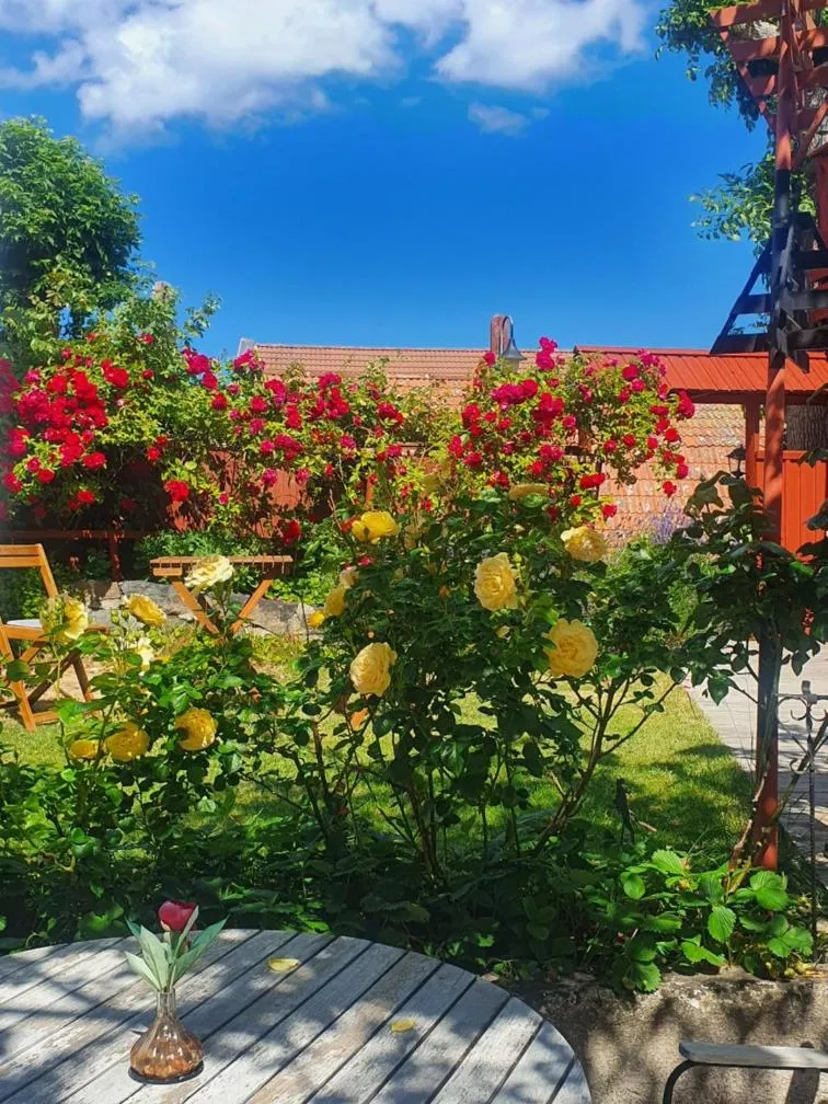 Garden in Gårdshotell Klockargården Öregrund