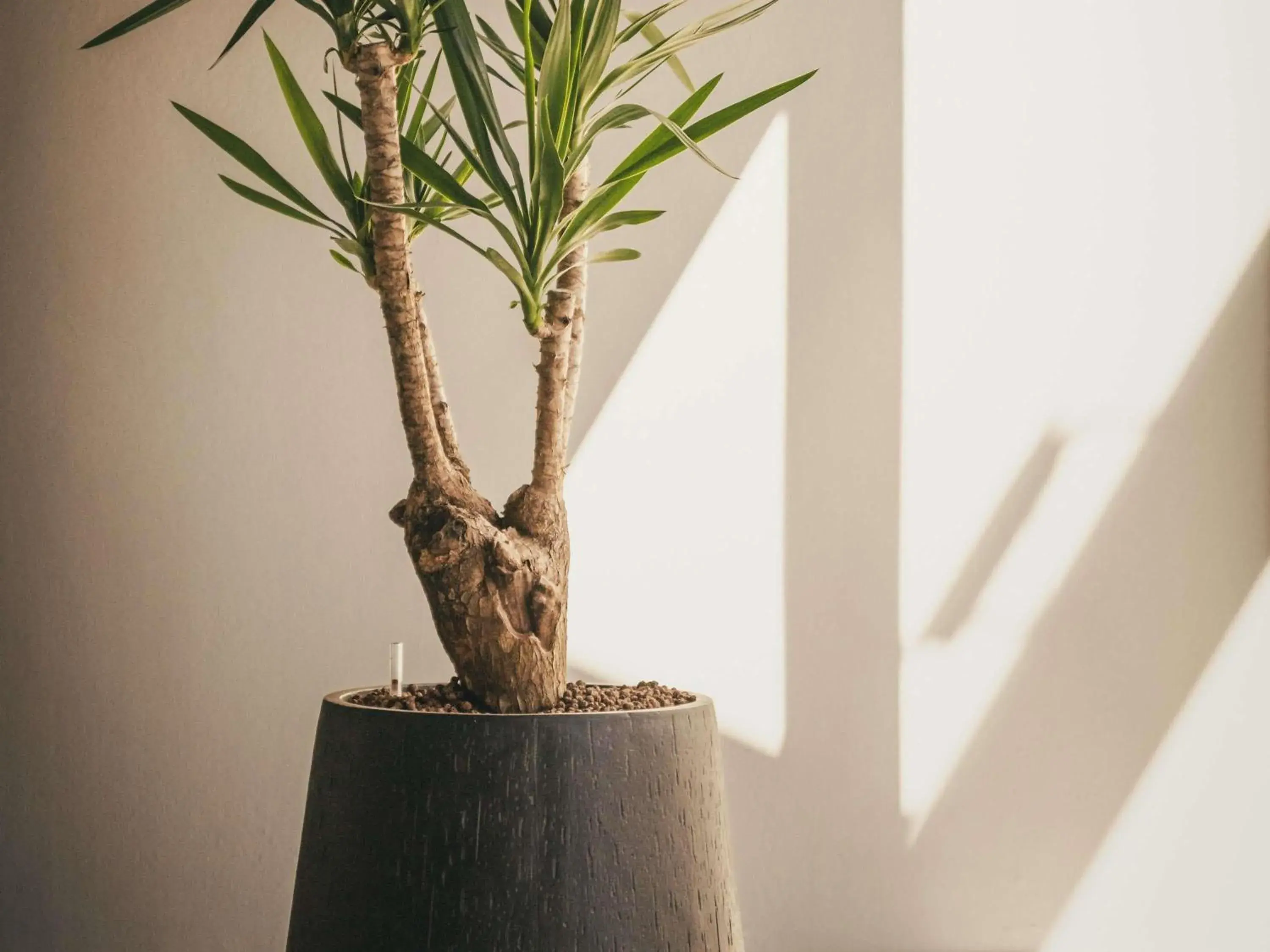 Property building in ibis Styles Brugge Centrum Property building in ibis Styles Brugge Centrum