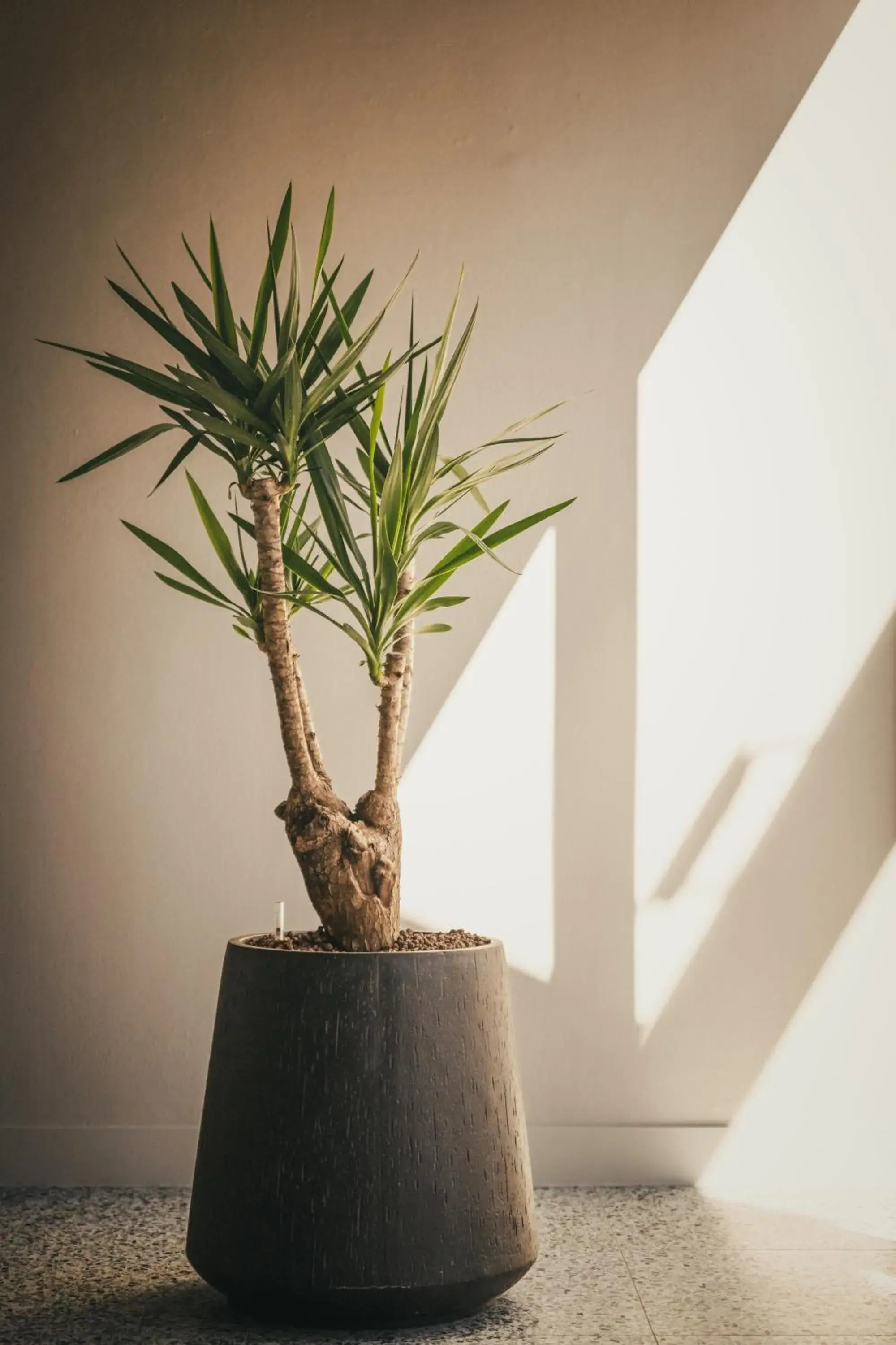 Property building in ibis Styles Brugge Centrum Property building in ibis Styles Brugge Centrum