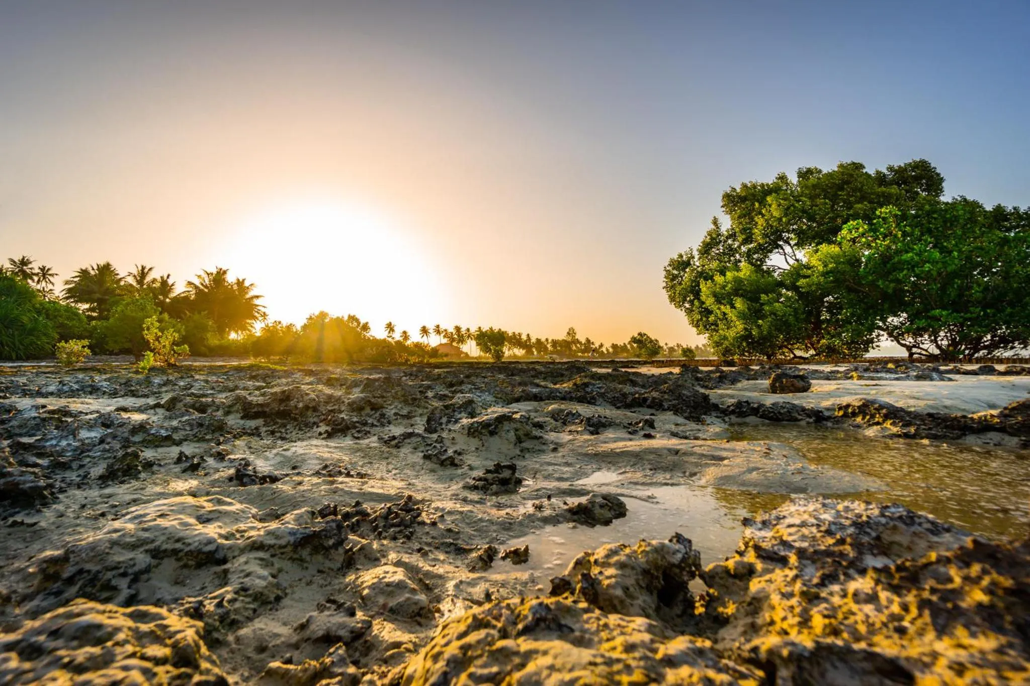 Activities in White Paradise Zanzibar