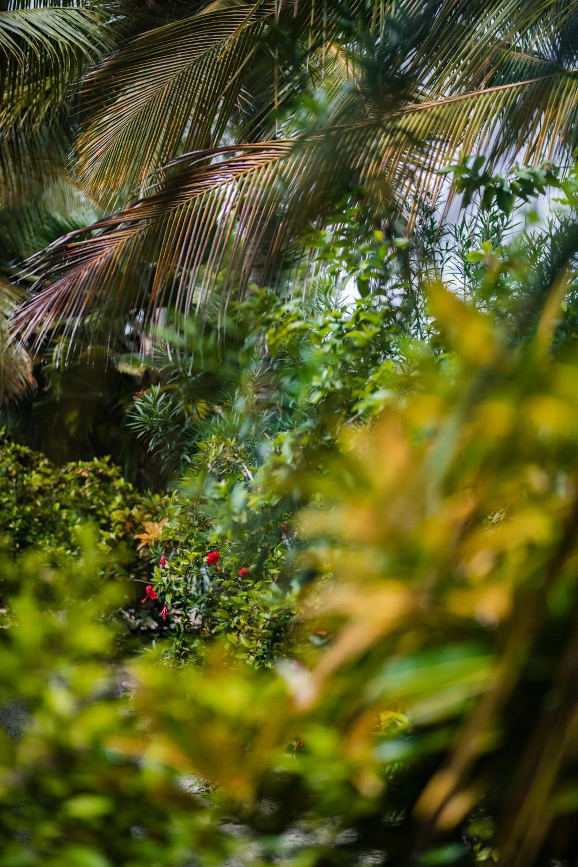 White Paradise Zanzibar