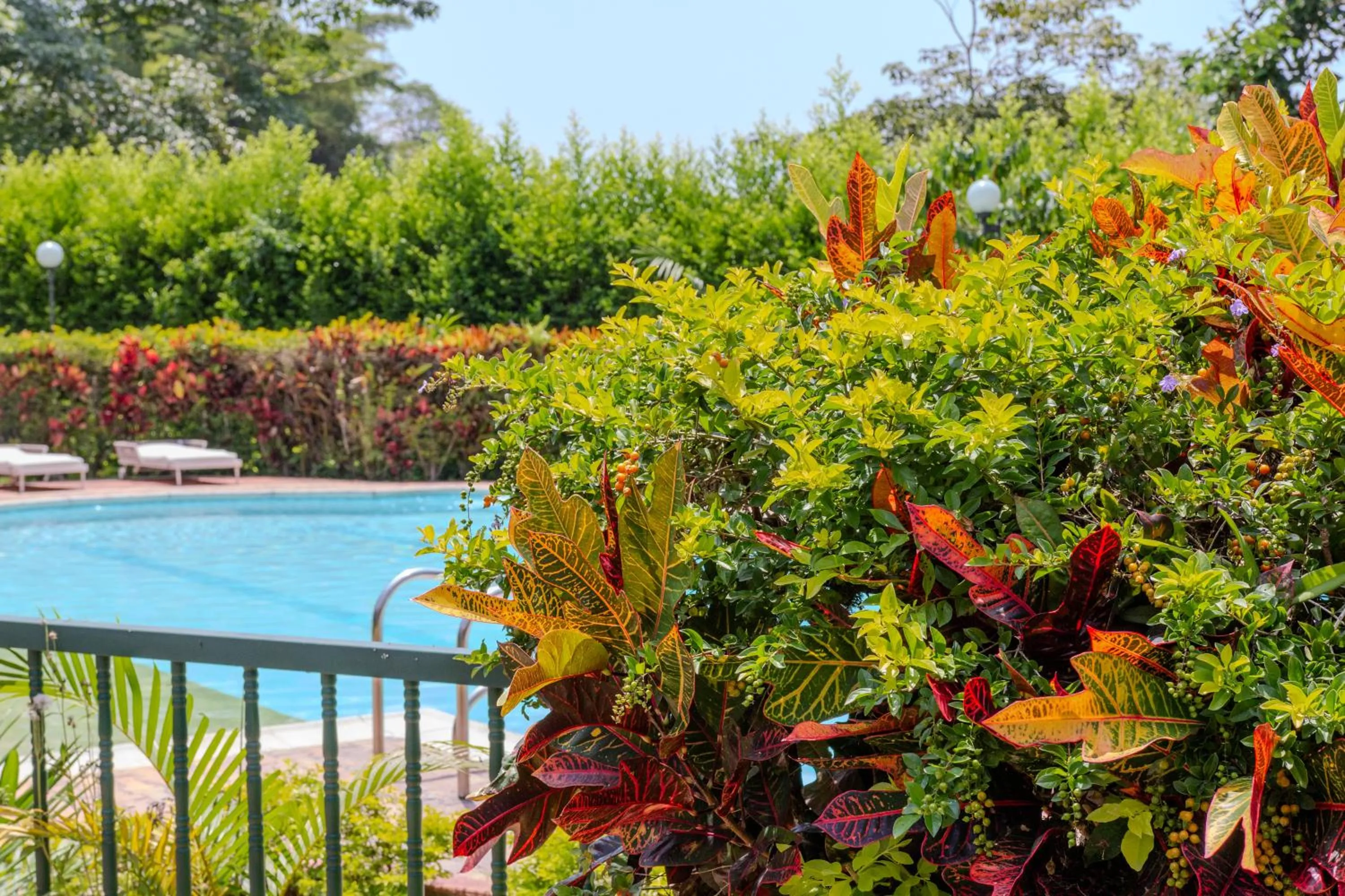 Day in Hotel Chalet El Castillo by Majuva