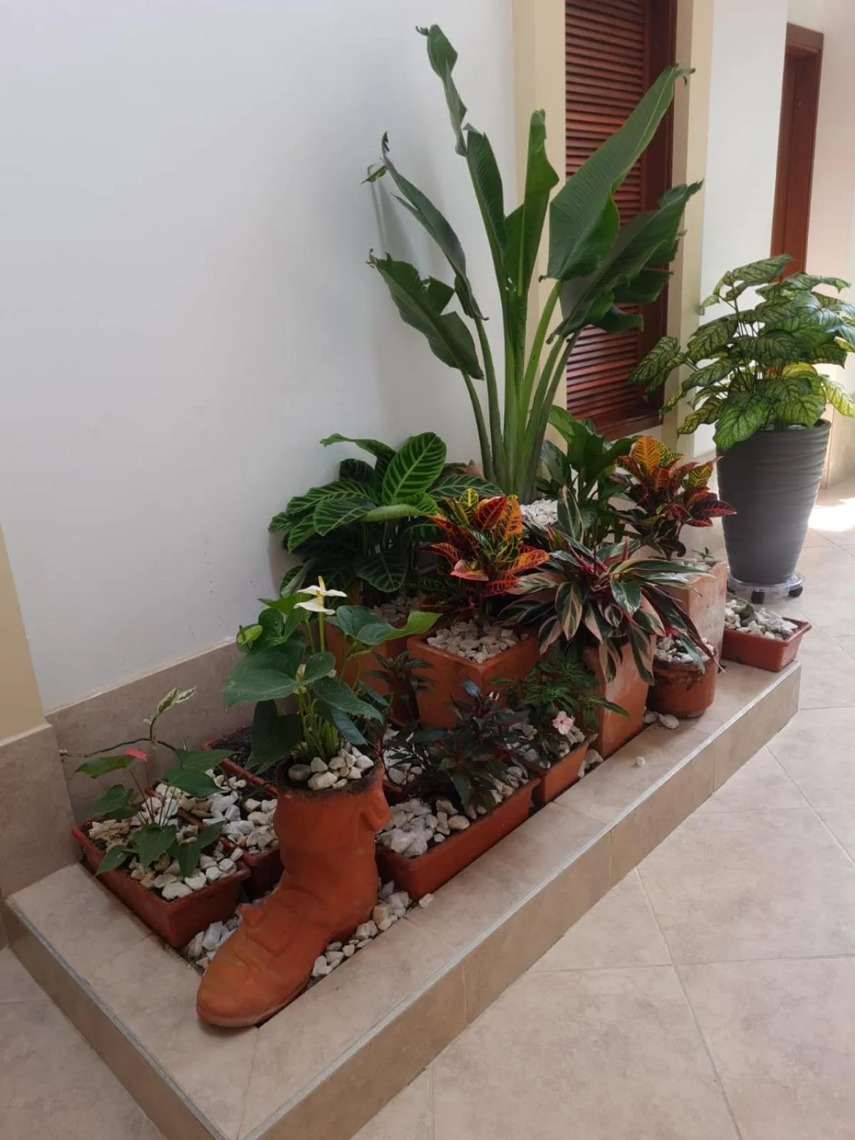 Garden in Hotel Abadias De Zapatoca