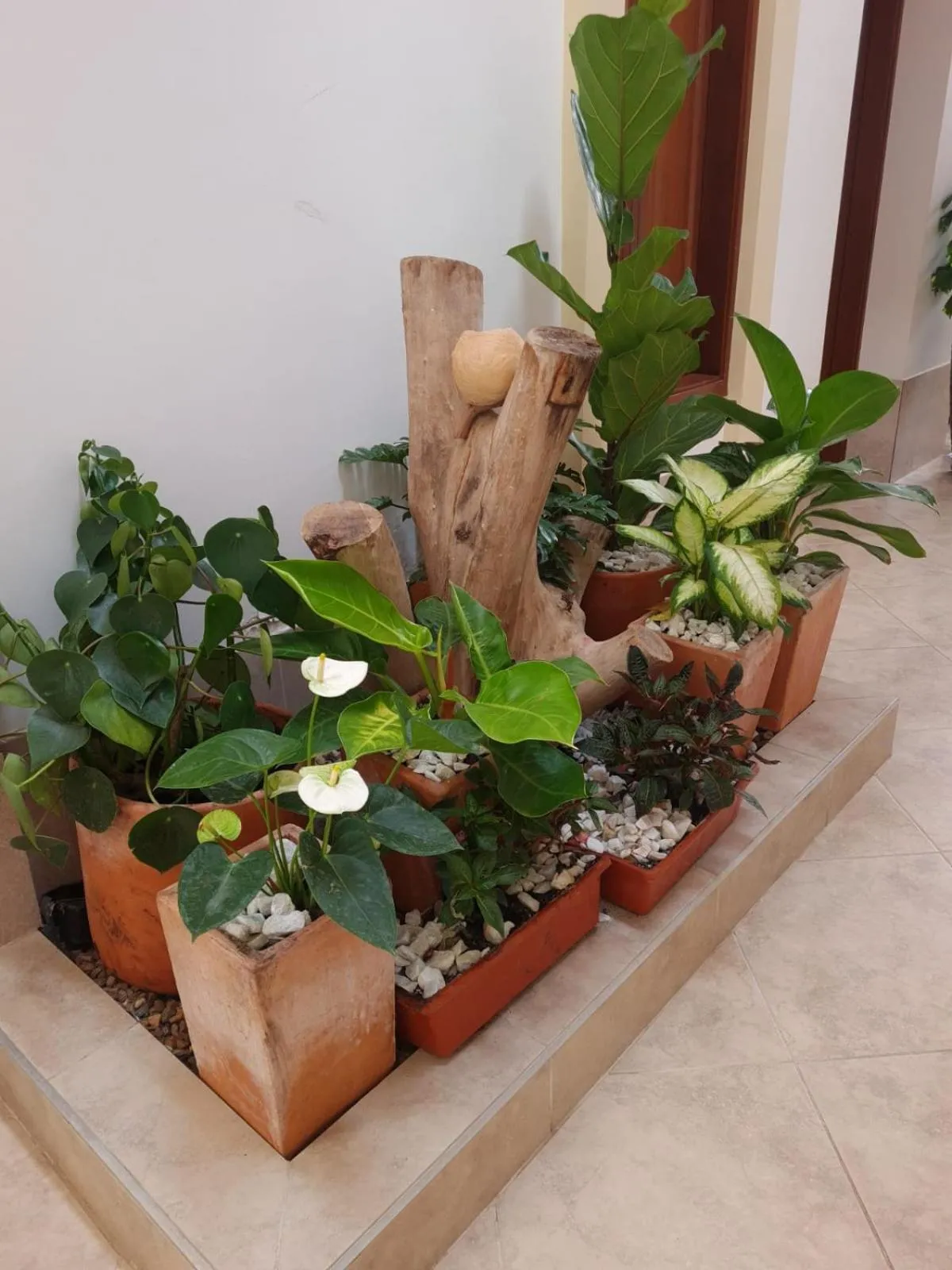 Garden in Hotel Abadias De Zapatoca