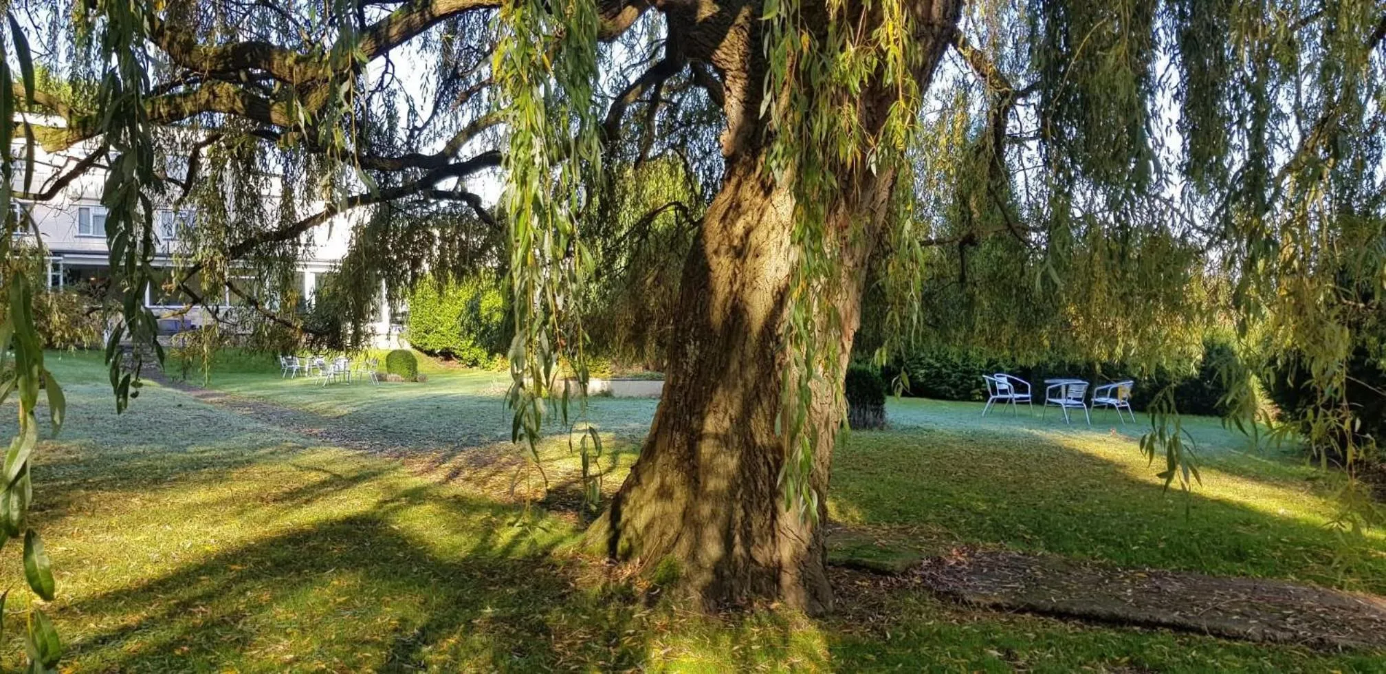 Spring in The Paddocks Hotel