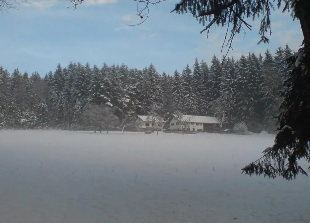 Four-Bedroom House in Pension am Waldesrand Four-Bedroom House in Pension am Waldesrand