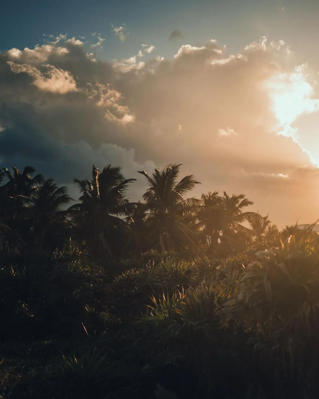 Sunrise in O' Tulum Boutique Hotel - Adults Only
