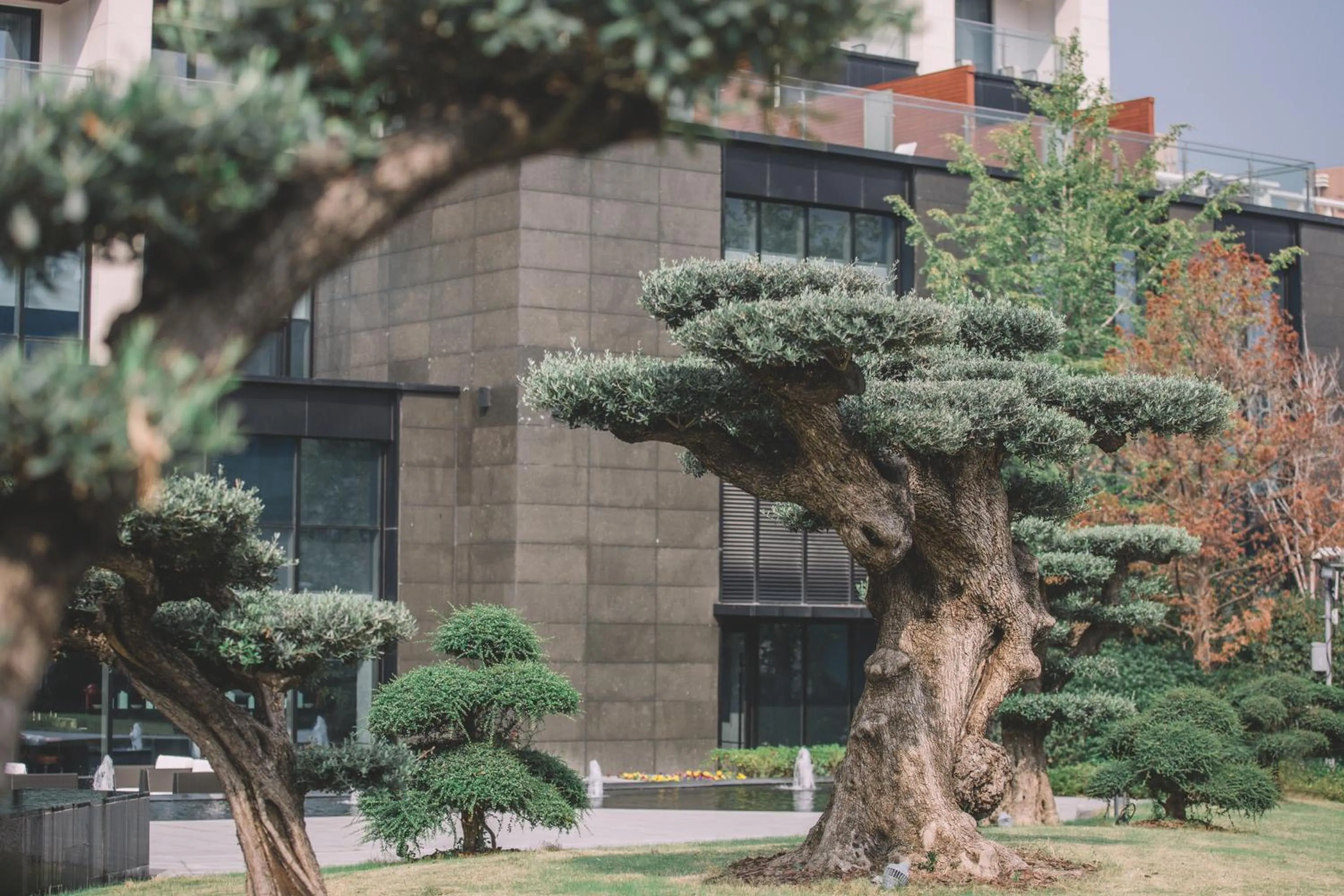 The Anandi Hotel and SPA - Luxury Healing Hotel for Wellbeing