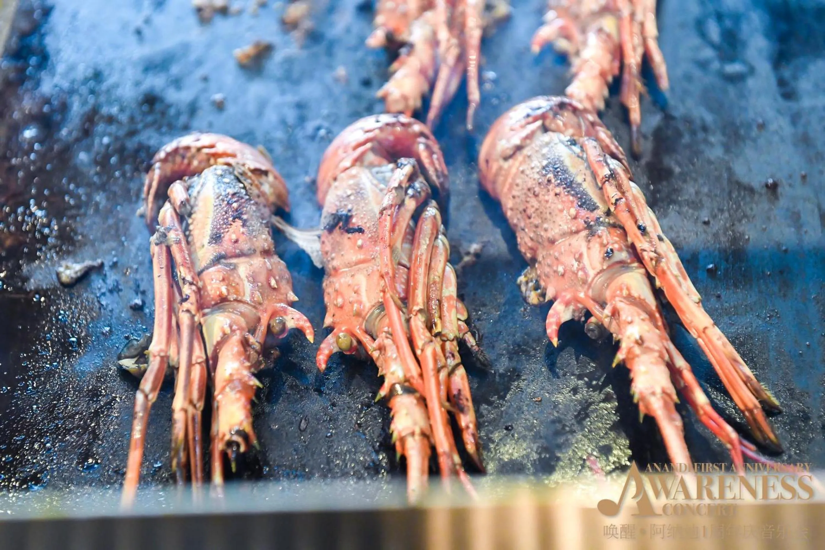 The Anandi Hotel and SPA - Luxury Healing Hotel for Wellbeing