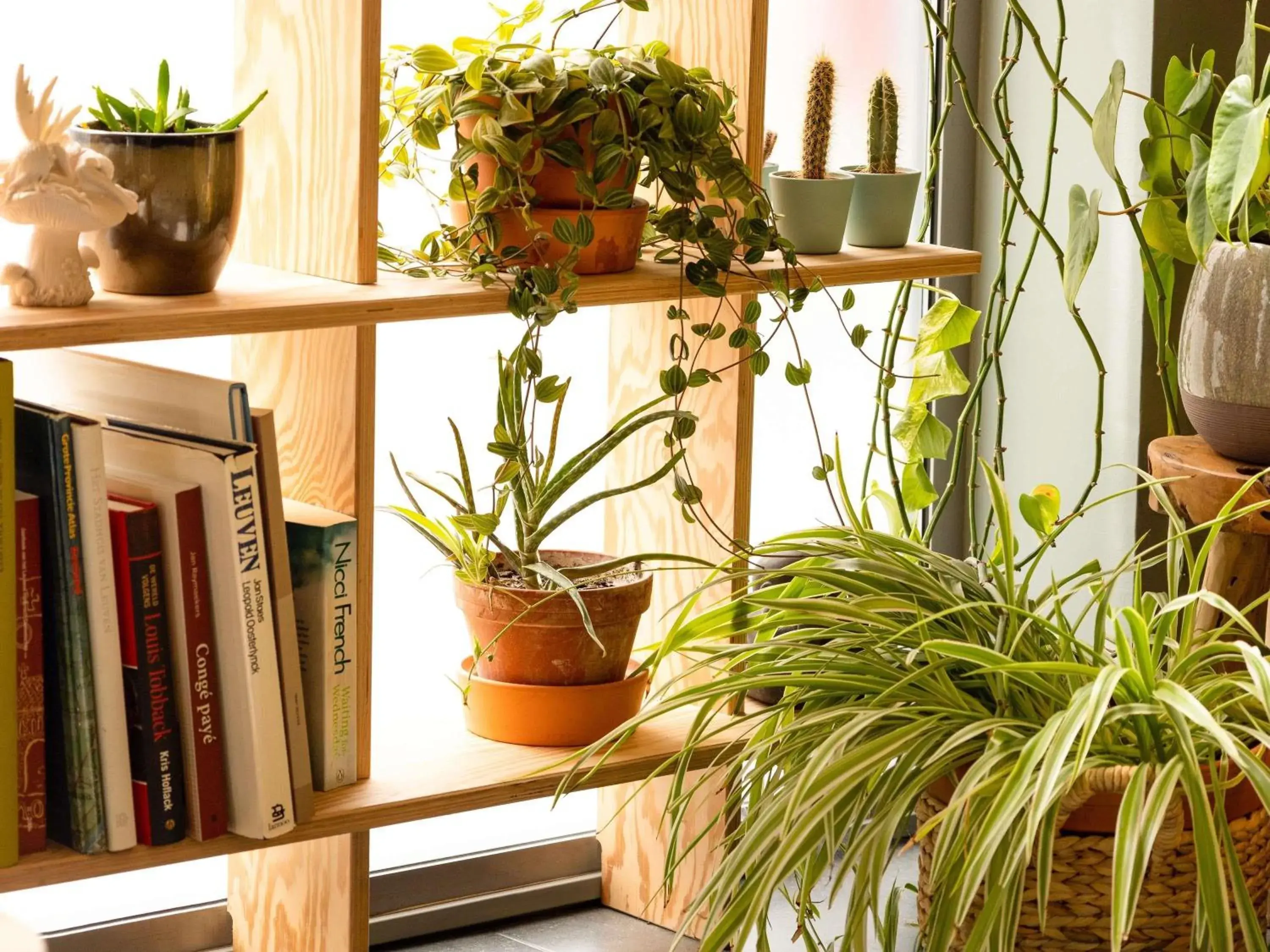 Property building in ibis Leuven Centrum Property building in ibis Leuven Centrum