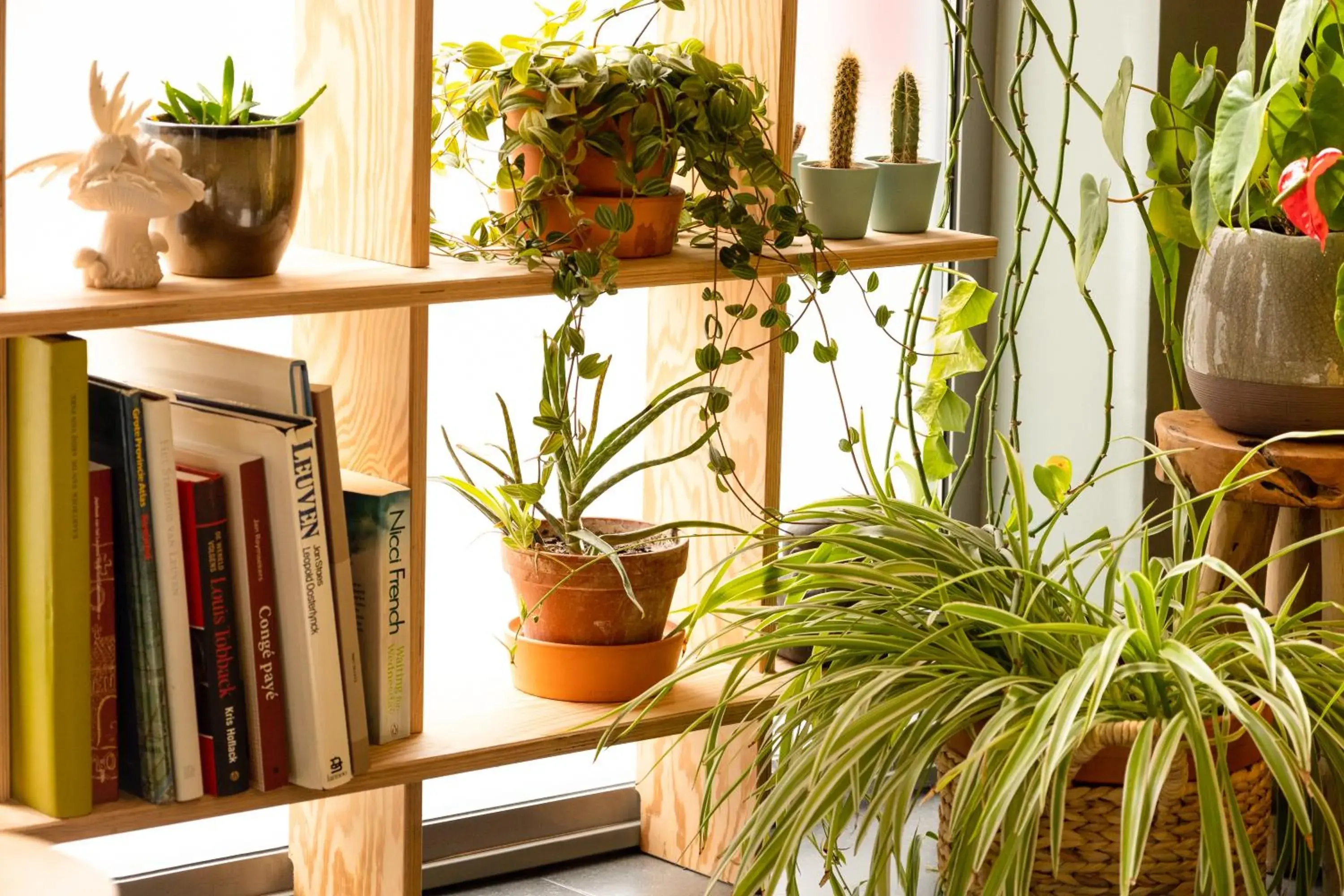 Lobby or reception in ibis Leuven Centrum Lobby or reception in ibis Leuven Centrum